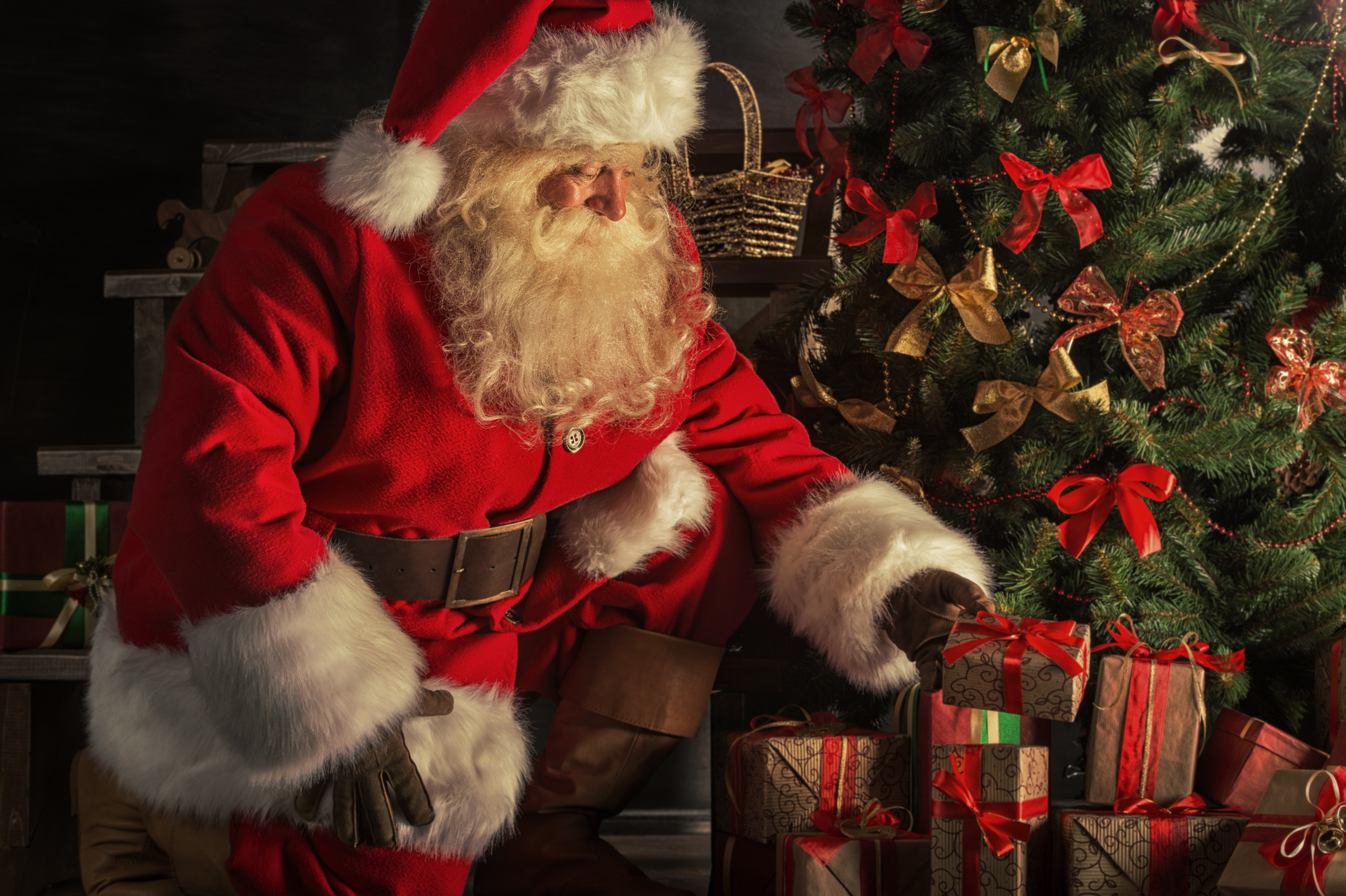 Santa