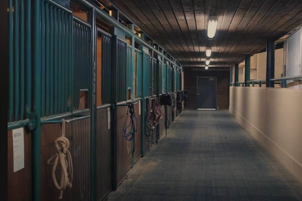 Bosque Ranch stables