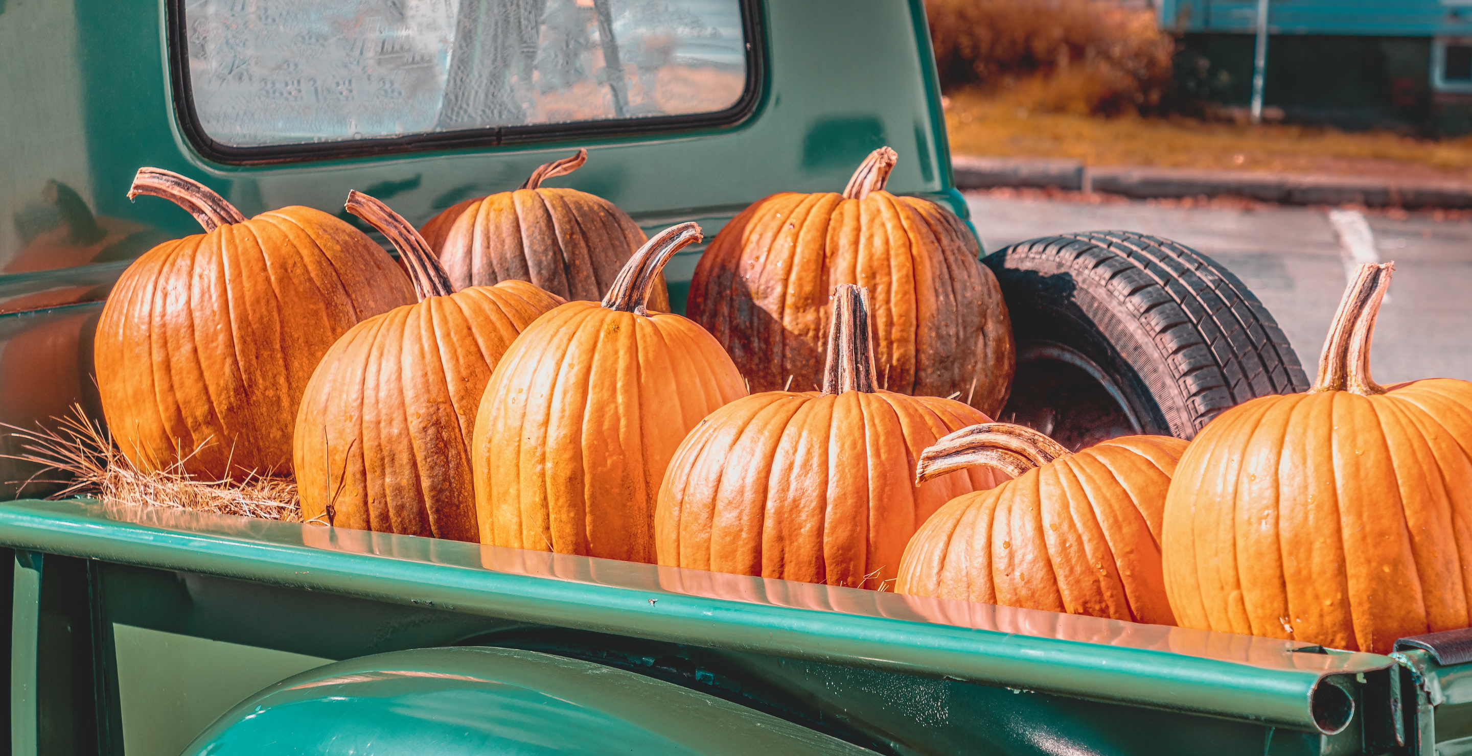 Pumpkins in the back of a truck