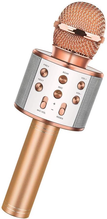 karaoke microphone