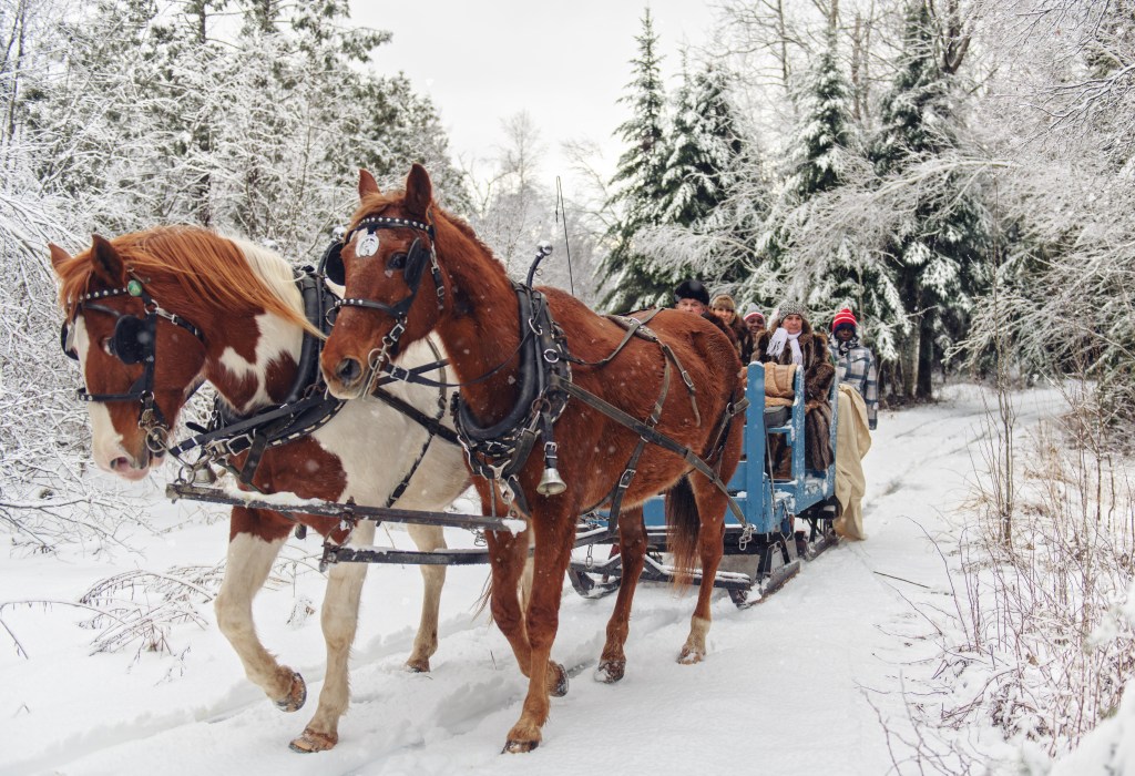 Multi-ethnic group sleigh riding