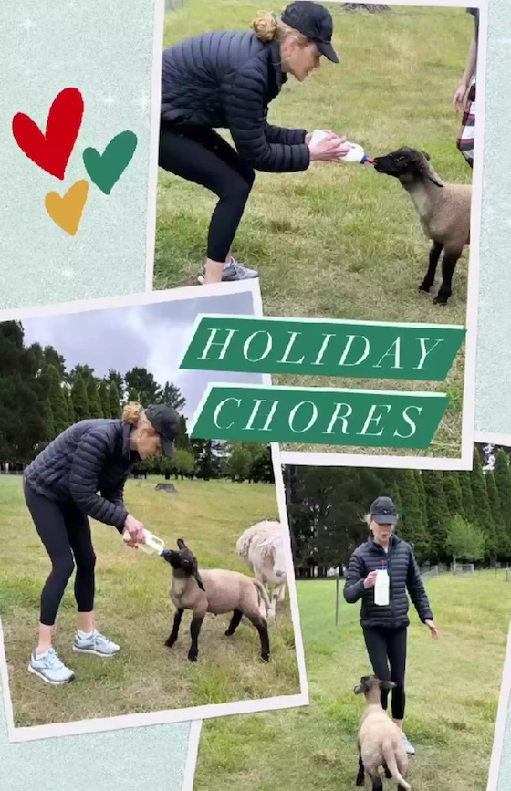 Nicole Kidman feeds a tiny lamb in a screengrab from Instagram.