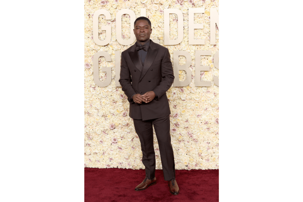 David Oyelow attends the 81st Annual Golden Globe Awards
