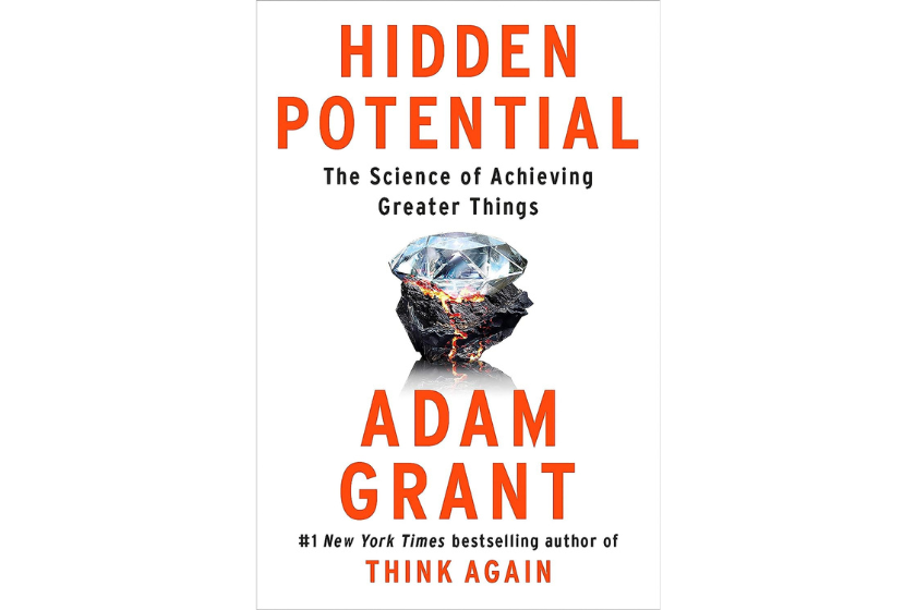 Hidden Potential Self Help Book