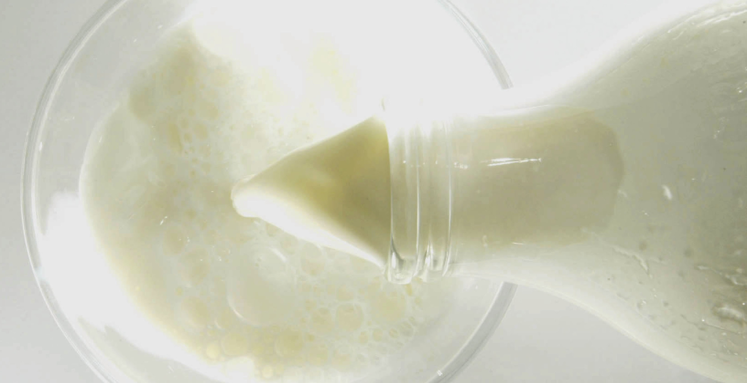 1 in 5 Commercial Milk Samples Affected By Bird Flu As Experts Fear Virus Has Spread