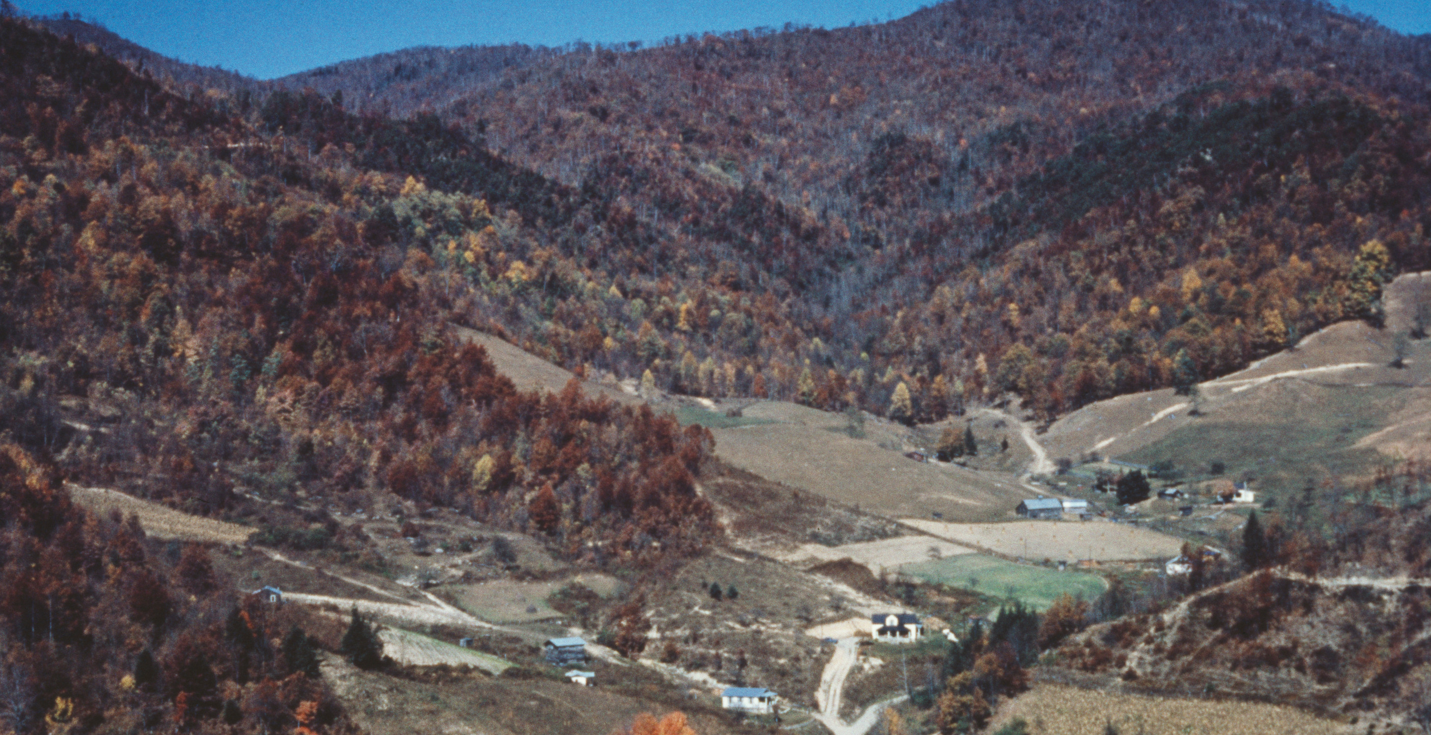 Internet Tourist Posts Misleading Photo Of Gatlinburg, And Tennesseans Are Having A Field Day