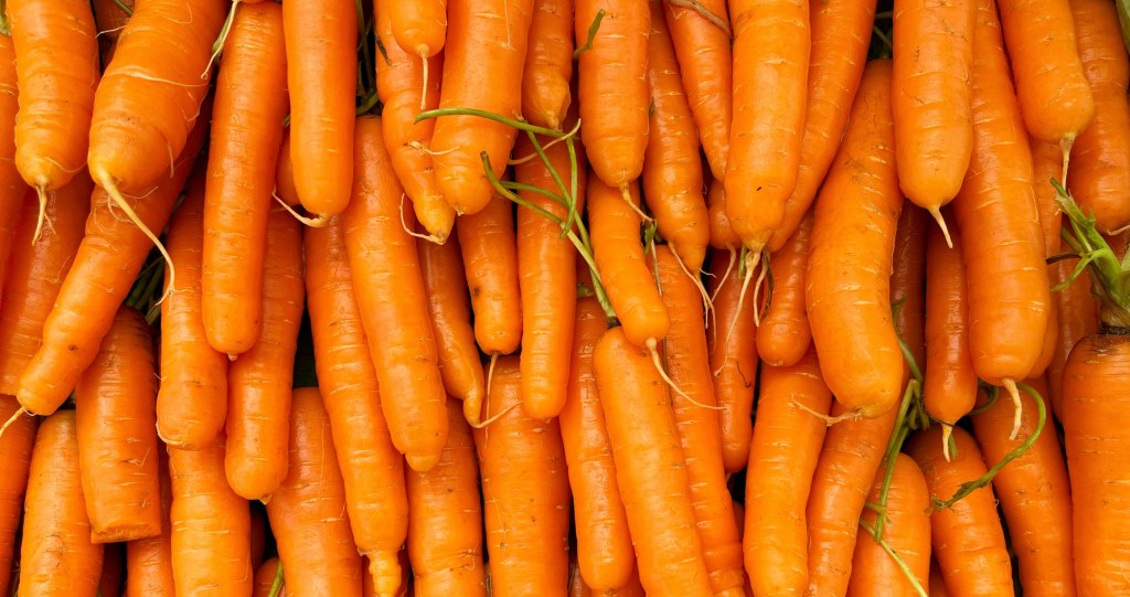 Carrots In-season fall veggies