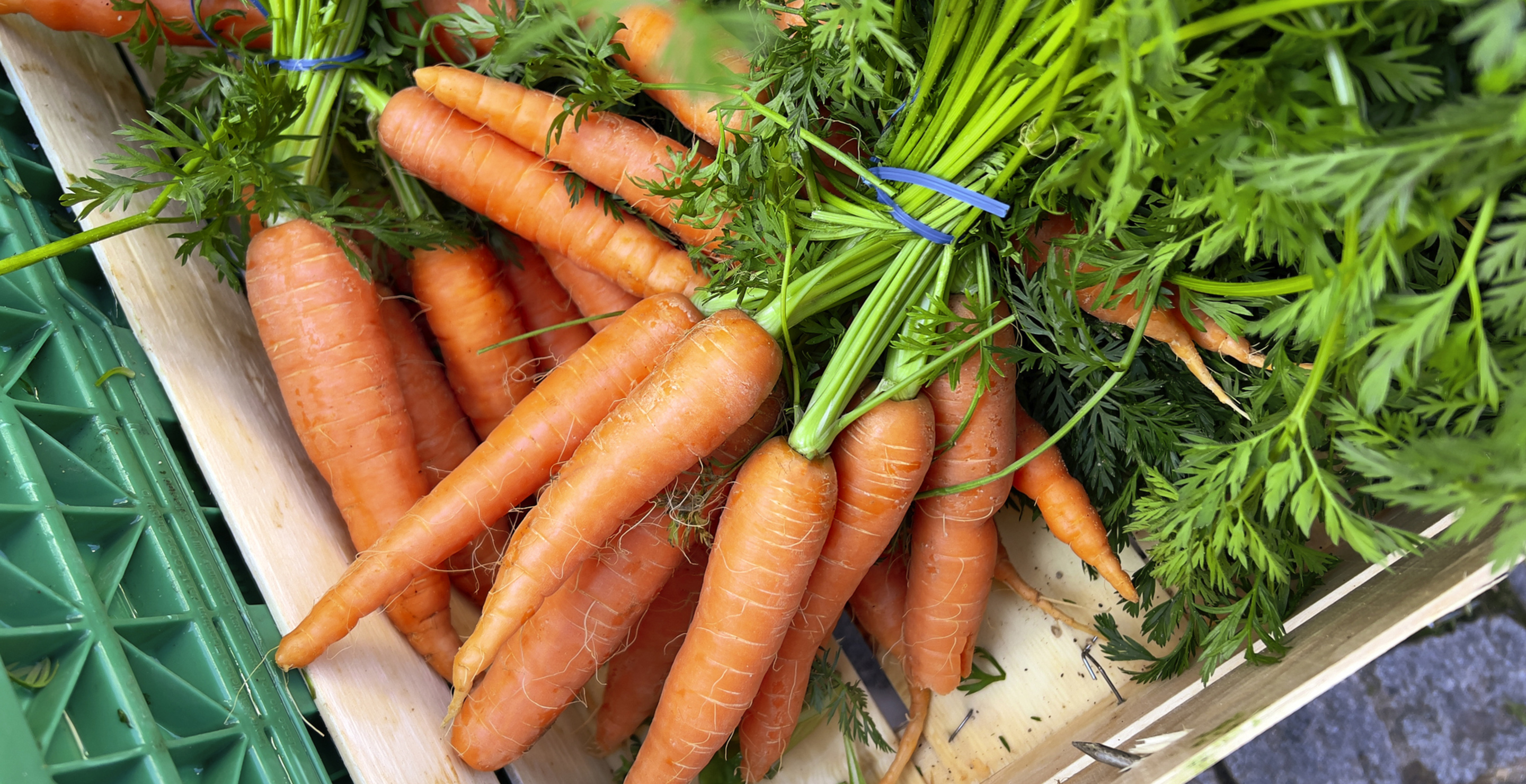 e. coli outbreak over carrots kills one