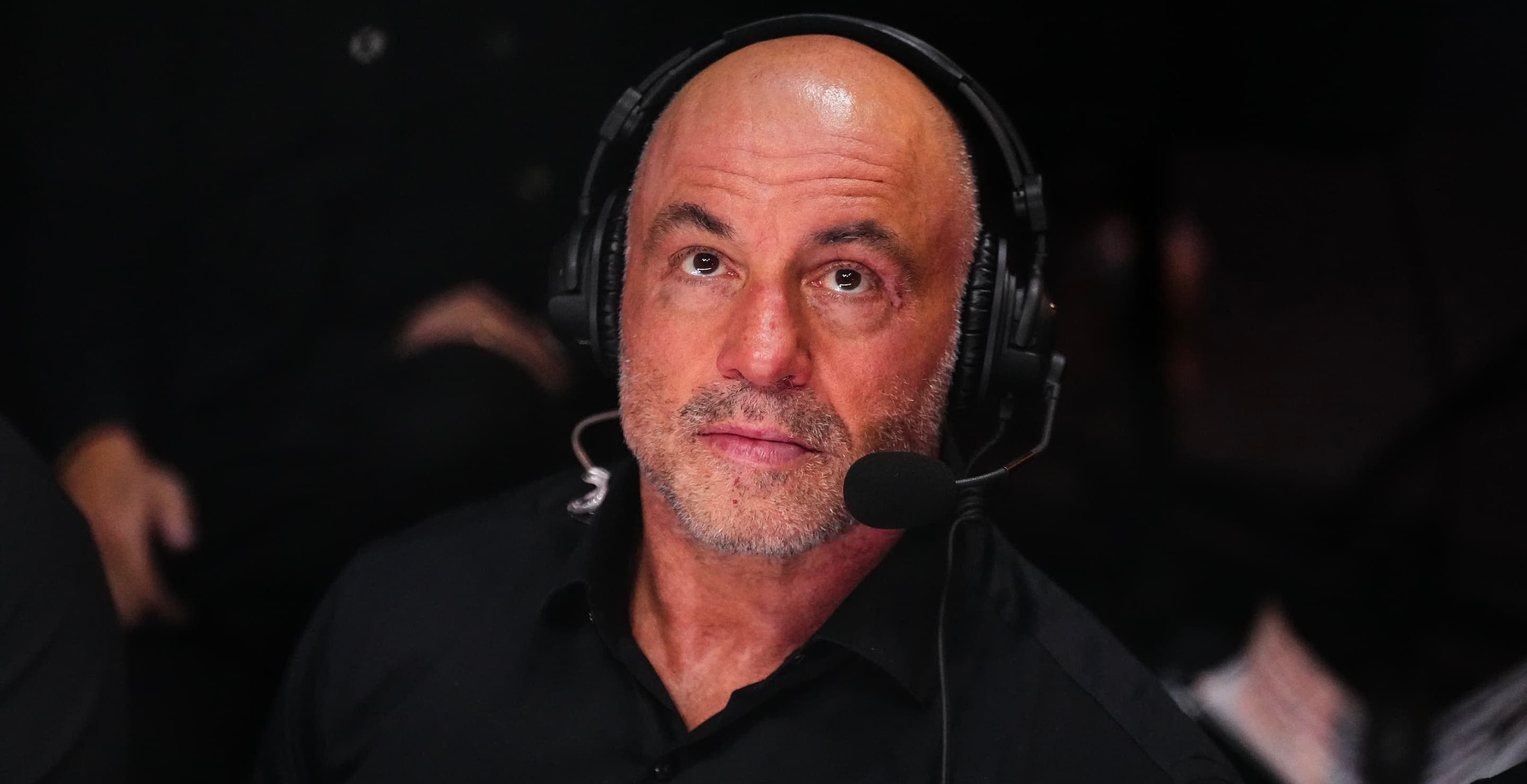 Joe Rogan Defends His Belief in Dragons Against 'The View'