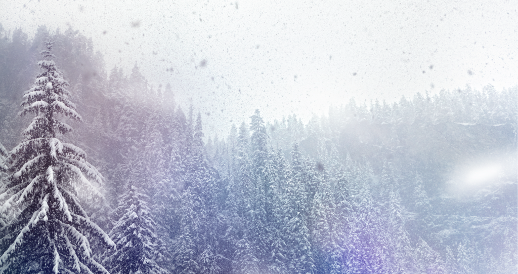 Snowing White Christmas Elvis Christmas Song