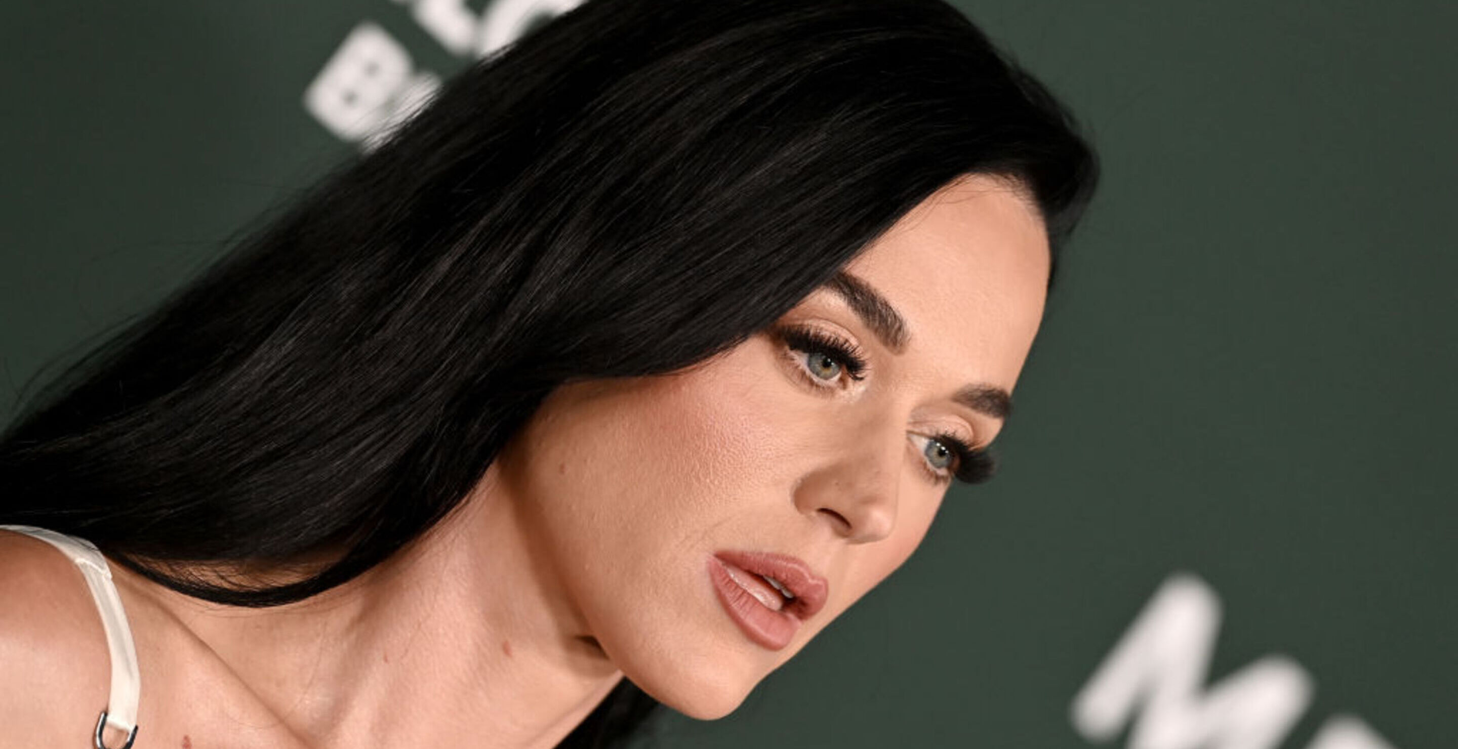 katy perry law suit against disabled veteran has children concerned