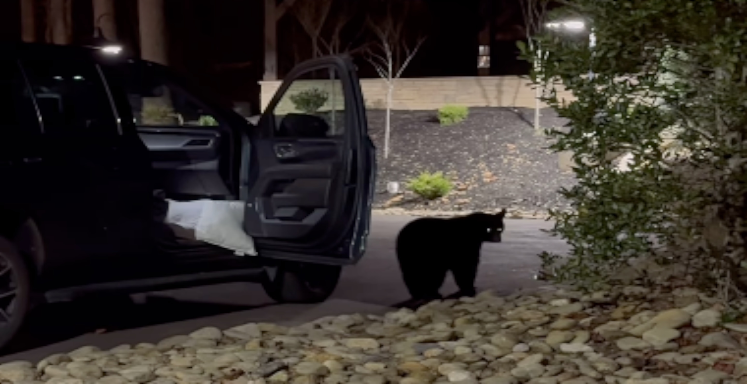 Jason Aldean And Family Have Run In With Bears