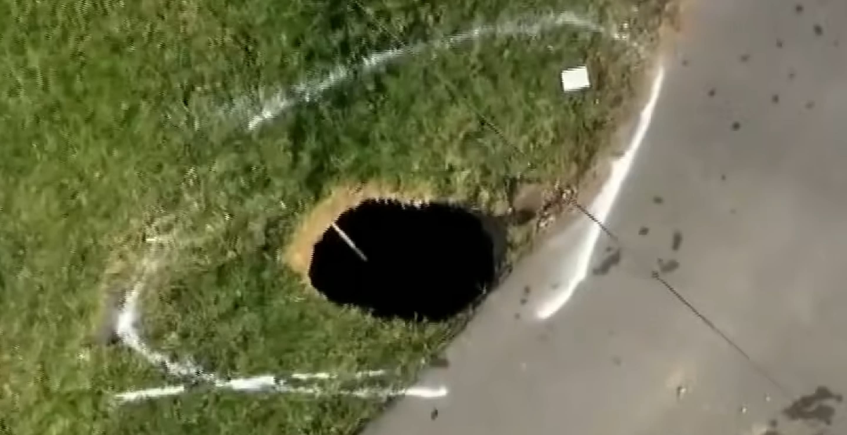 Elizabeth Pollard Sinkhole