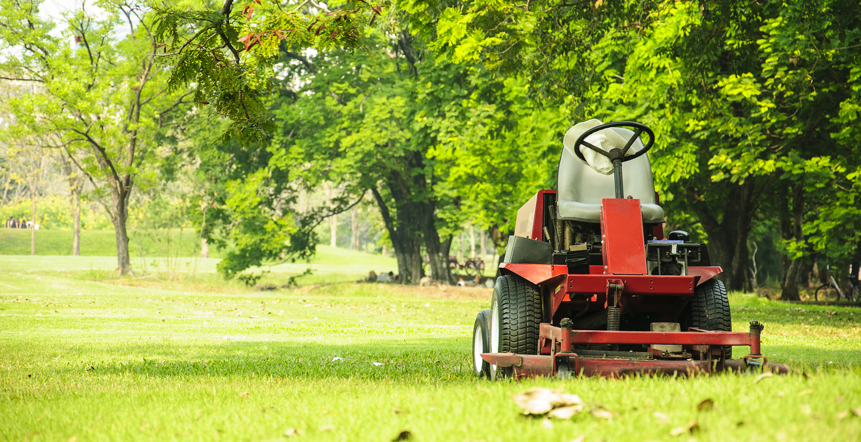 George Jones Used A Lawnmower To Drive To Liquor Store After Wife Took His Keys