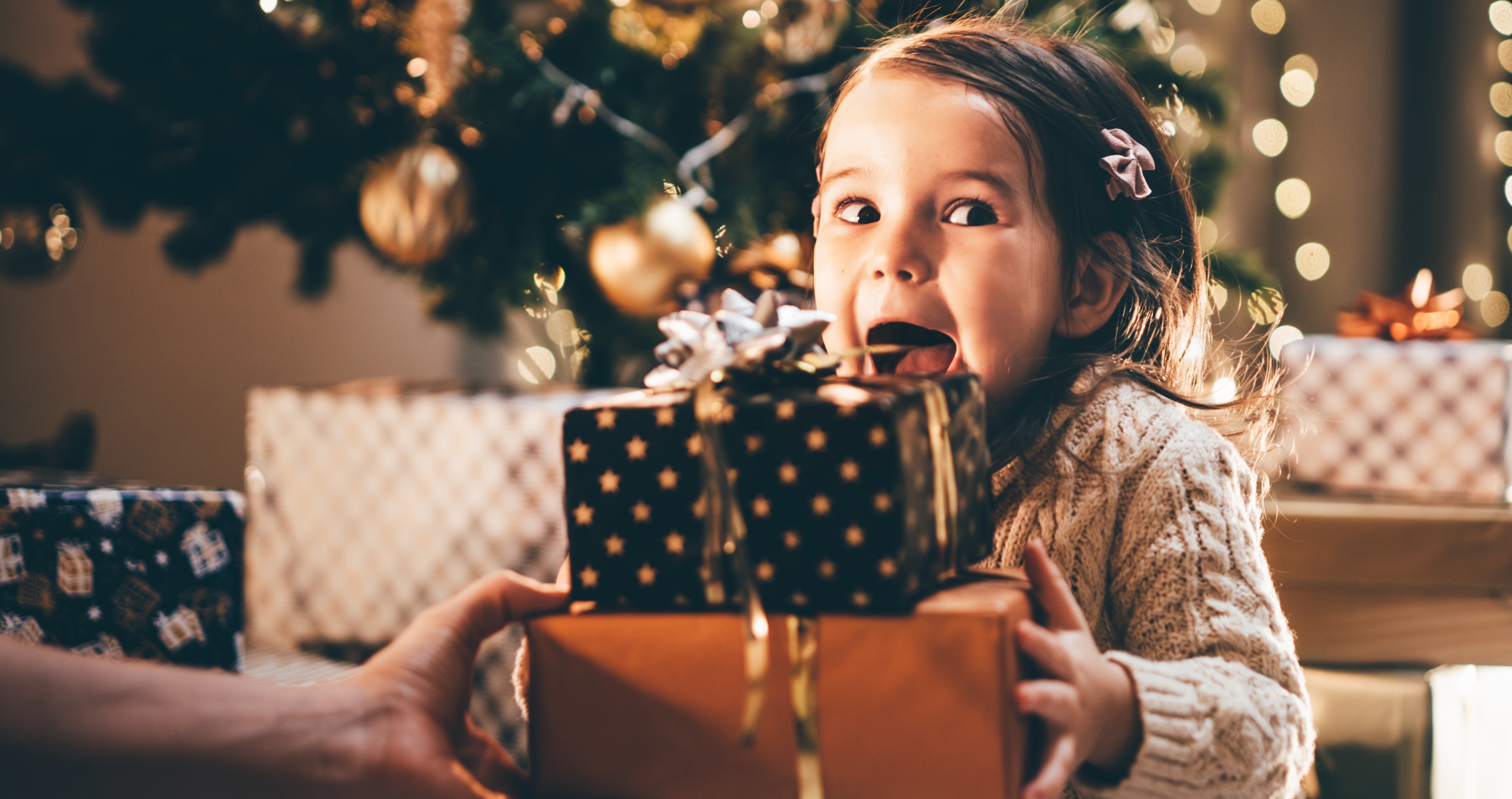 Jason Aldean watches as bear ripped up daughters Christmas present
