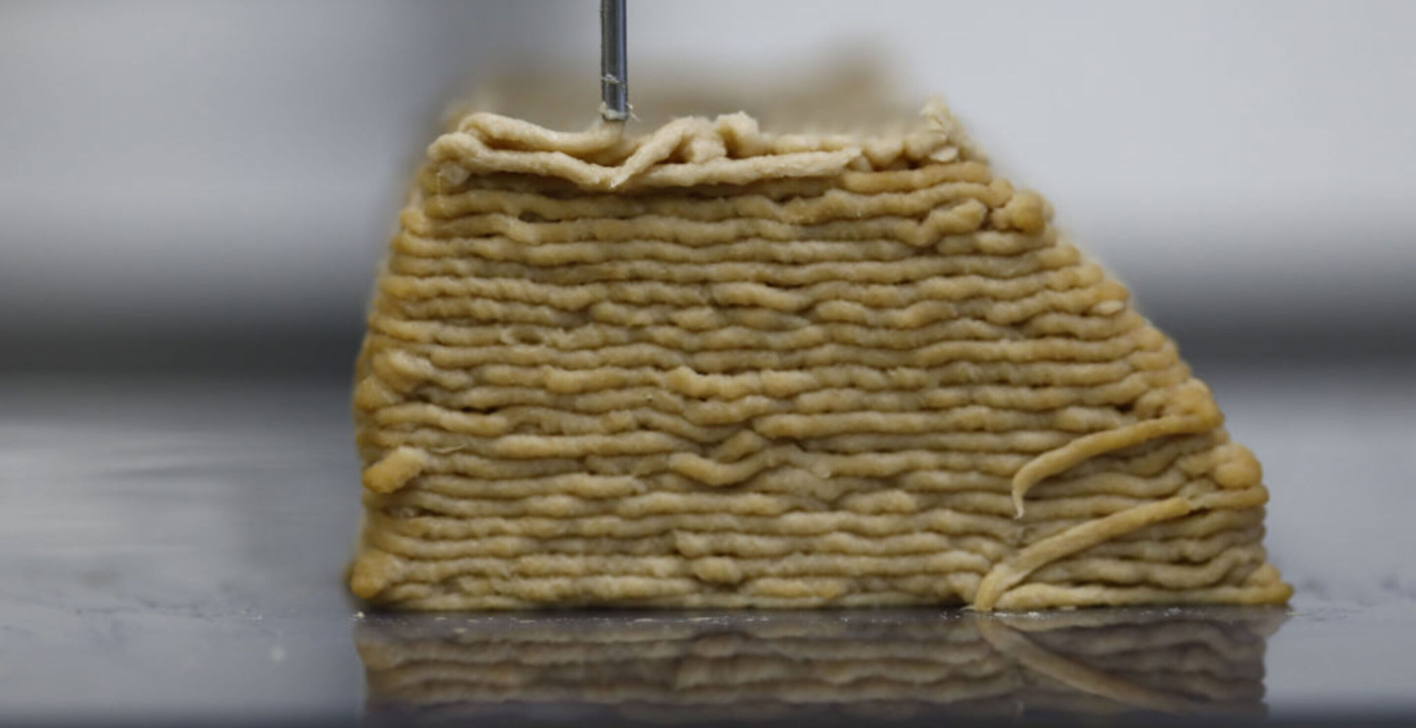Scientists Are 3D Printing Steak, And I Have To Question Has Science Gone Too Far