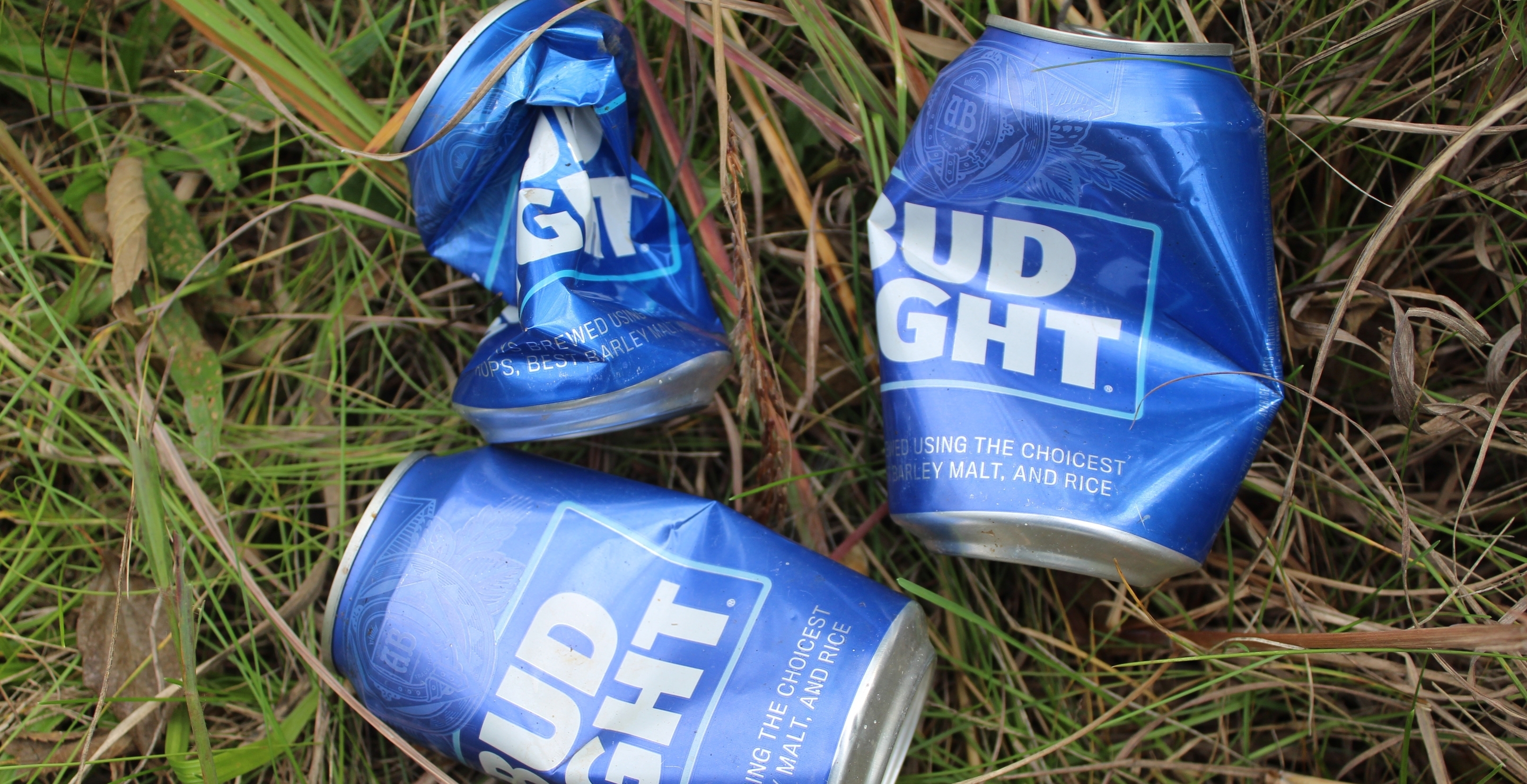 'Yellowstone' Creator Lets Viewers Know His Real Thoughts On Bud Light