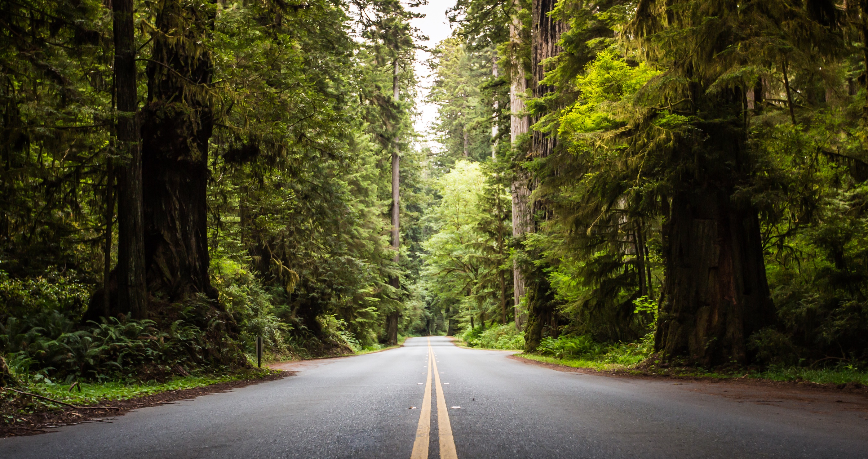 missing woman with dementia survived for days in Oregon woods beating all odds