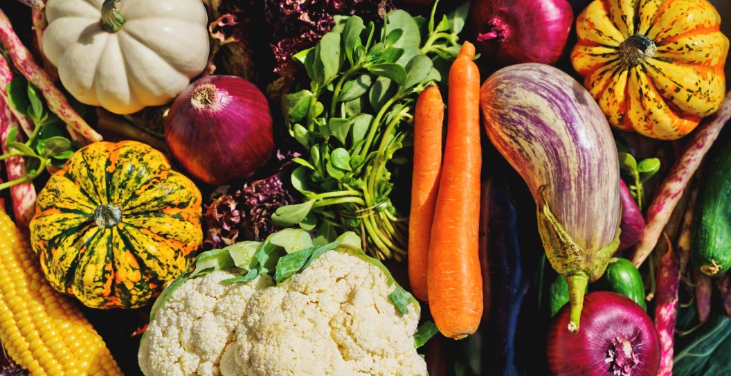 Vegetable Medleys Recalled Over E. Coli Concerns In Multiple States