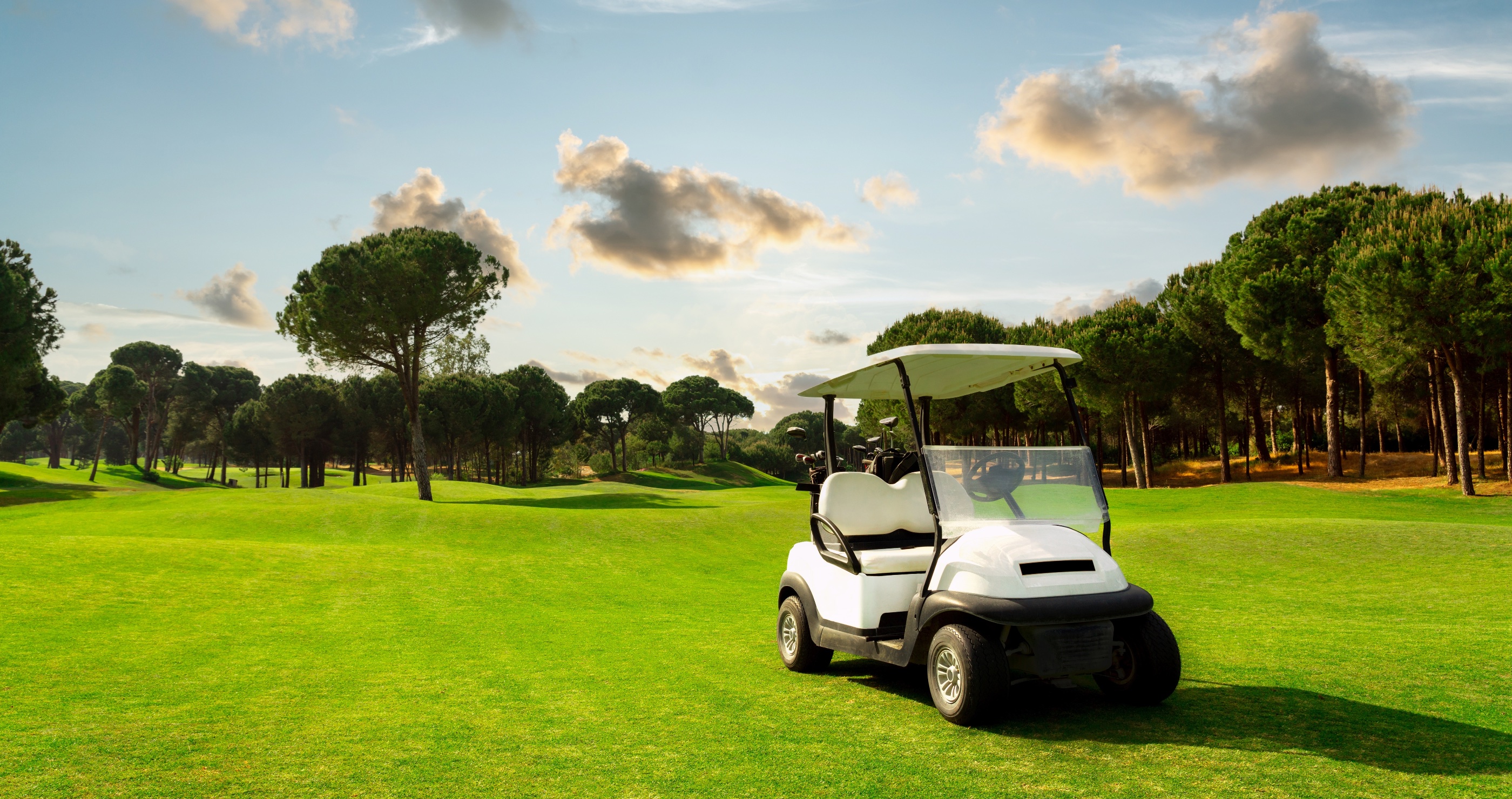 12-year-old crashes golf cart