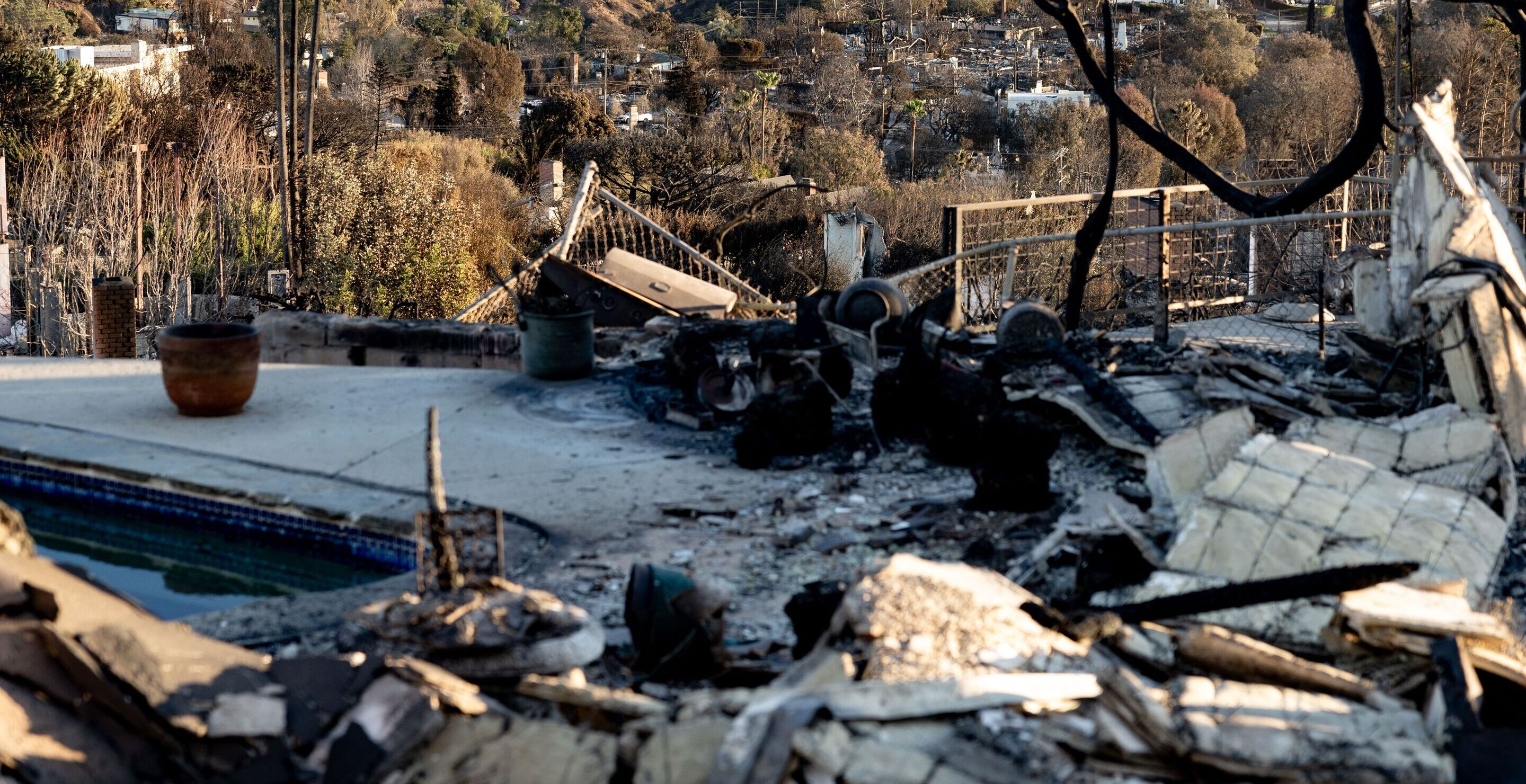 Disabled Former Child Star Uttered Two Heartwrenching Words To Mother Before Dying In Wildfire