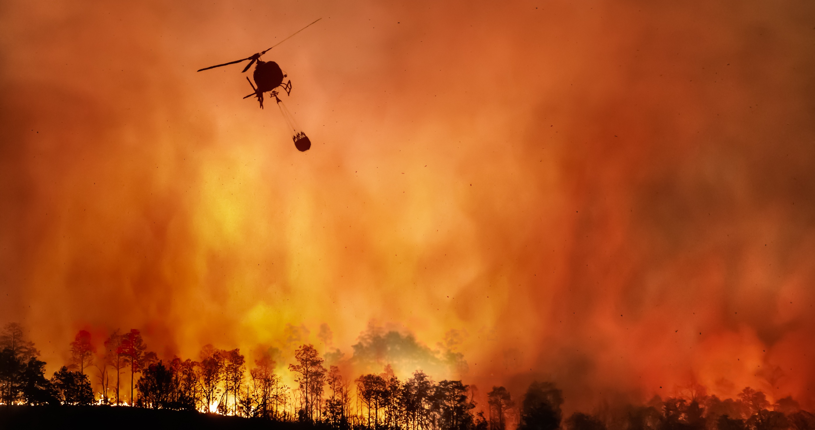 Jeff Bridges loses home in California wildfire