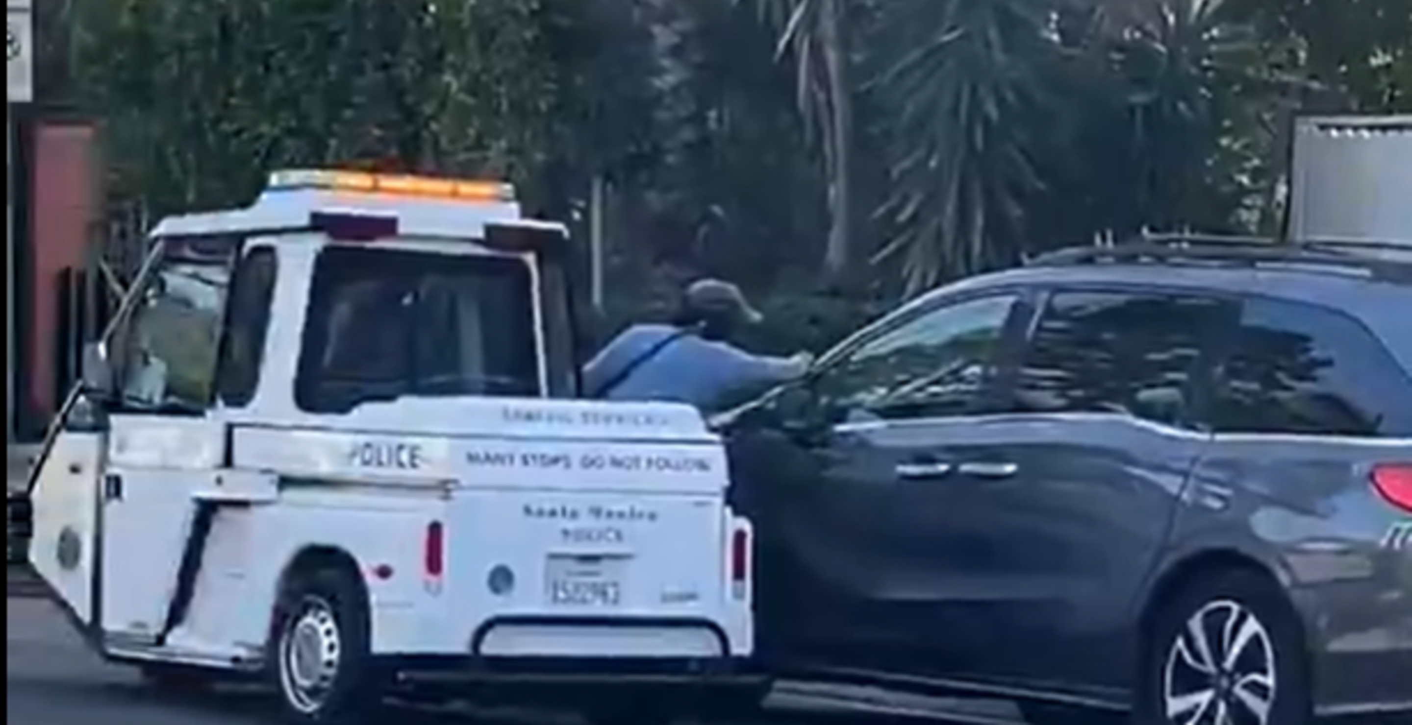 LA Traffic Warden Garners Backlash For Issuing Parking Tickets Amid Raging Wildfire