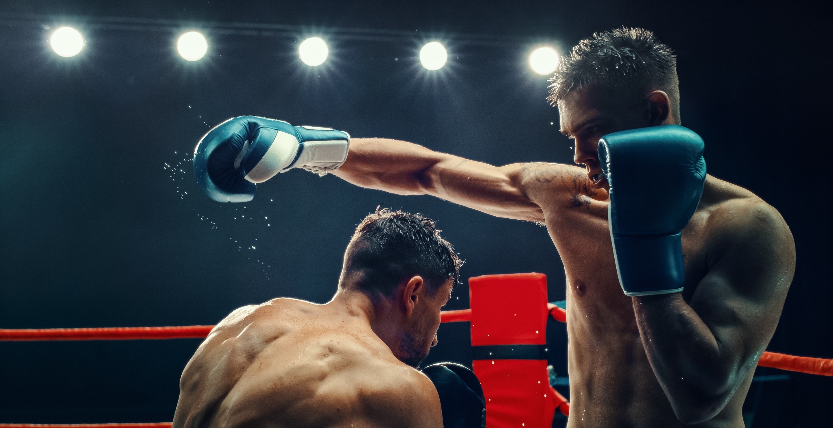 Referee Punched Multiple Times During Boxing Match