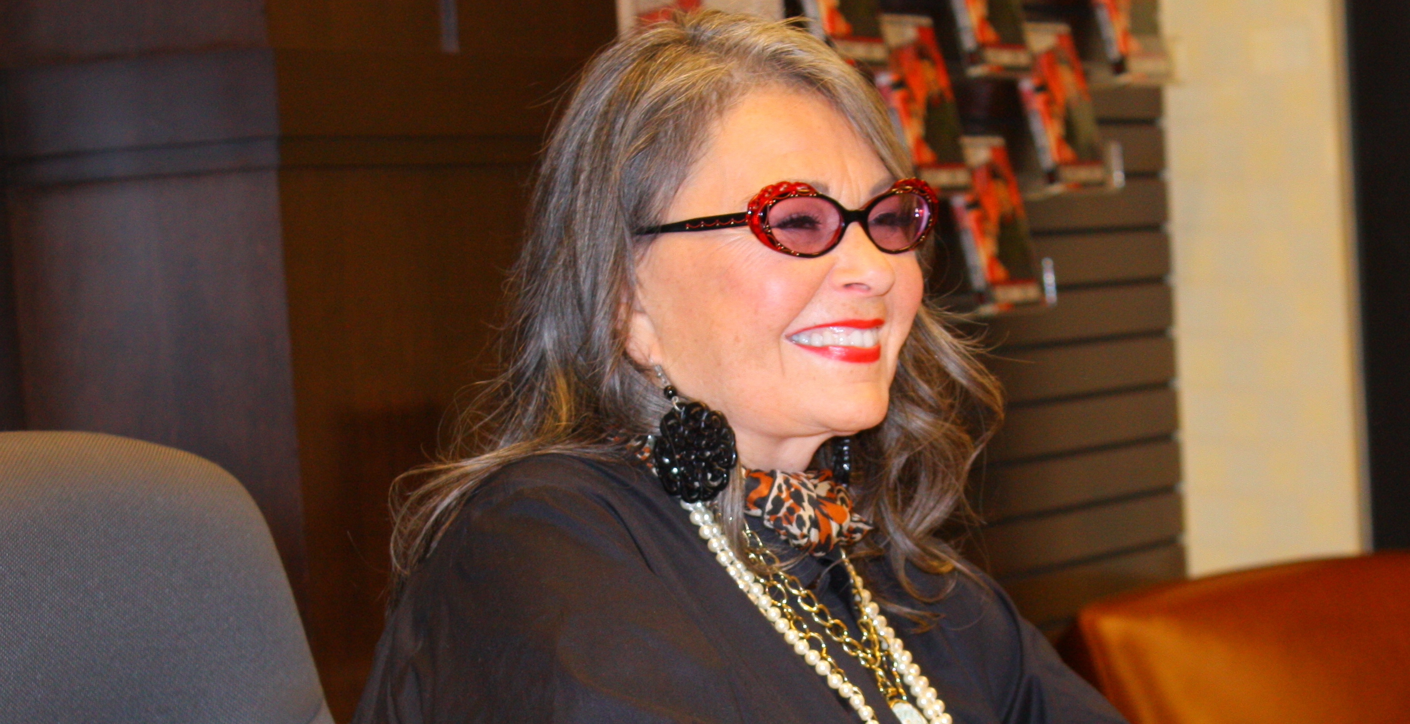 Roseanne Barr Plans Comeback With New Comedy TV Show