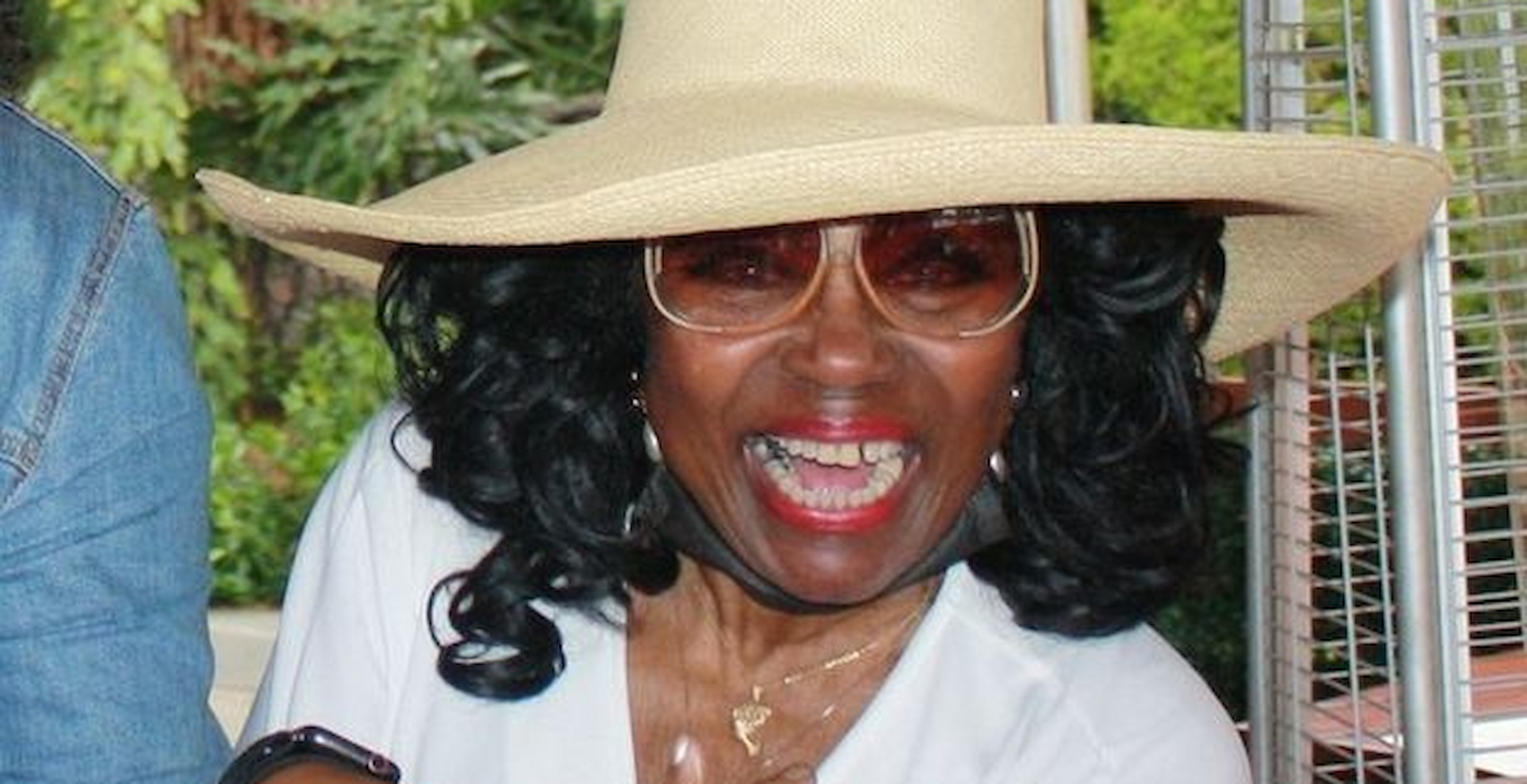Heartbreaking Final Words Of 'Blues Brothers' Star Dalyce Curry Before She Died In Wildfire
