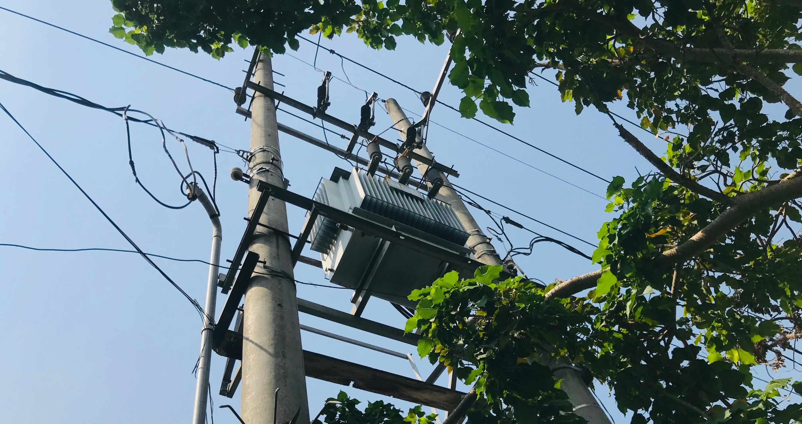 man fatally electrocuted trimming trees near power lines
