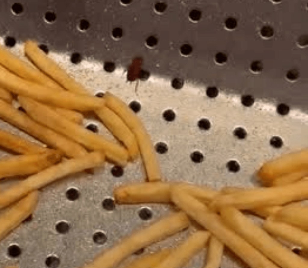 Roaches found in McDonald's