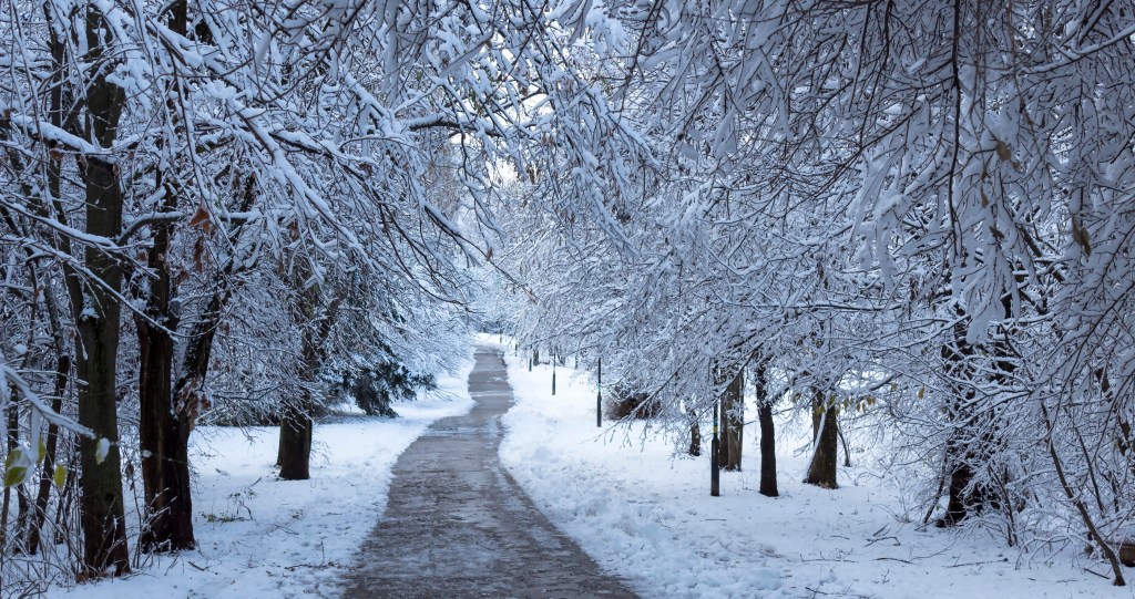 things you should know about snow in the South