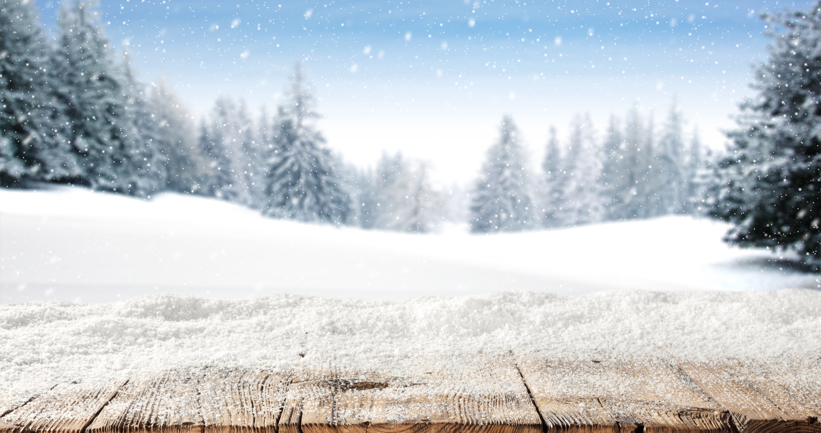 things you should know about snow in the south