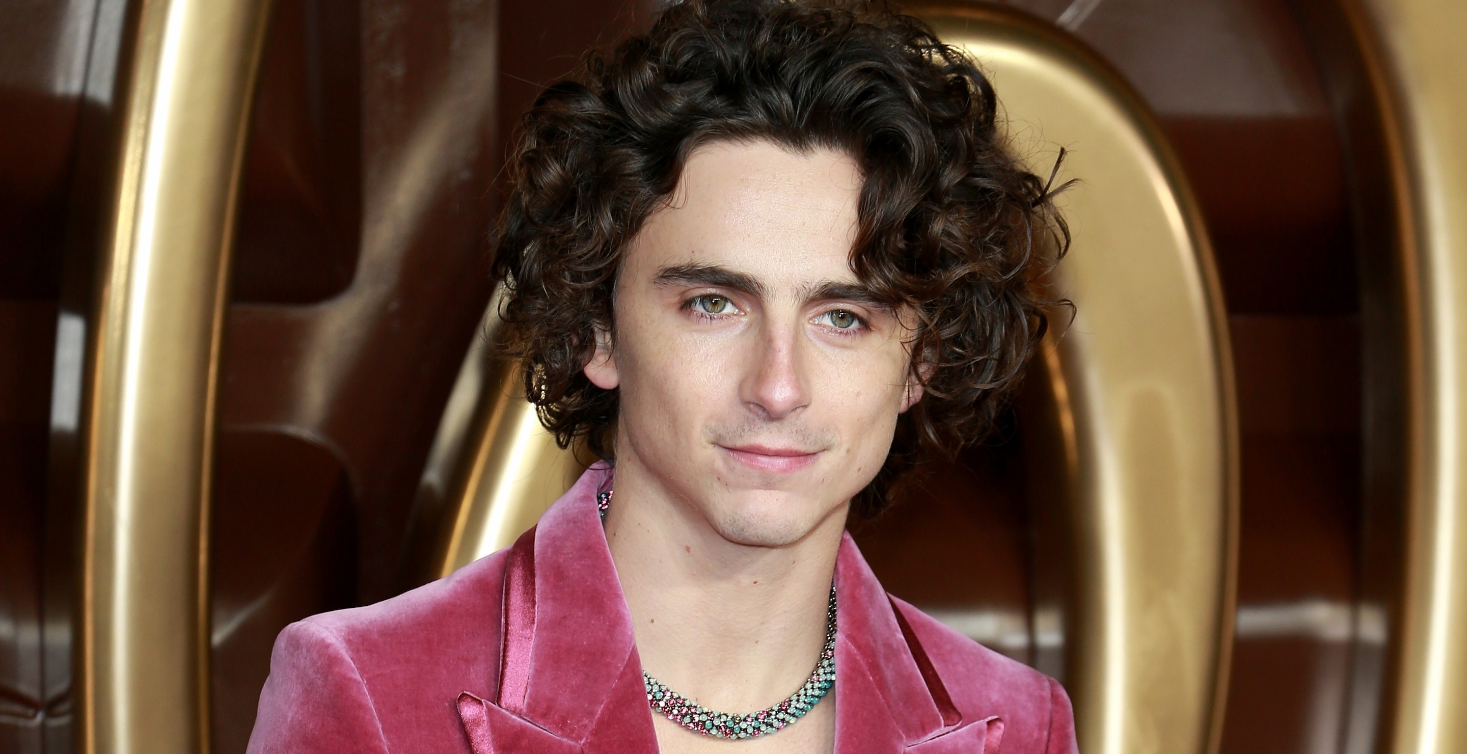 Timothée Chalamet Reveals Lengths He Went To Portray Bob Dylan