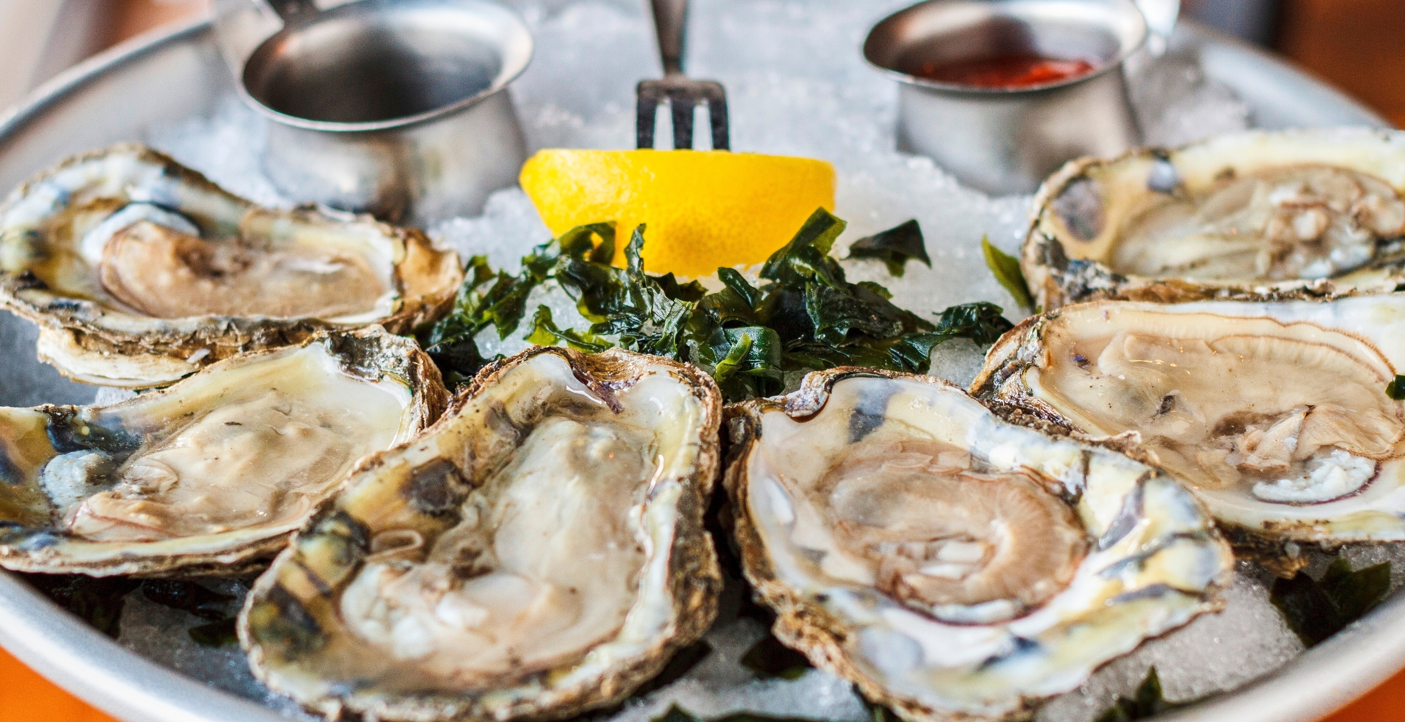 woman eats 70 oysters in one sitting