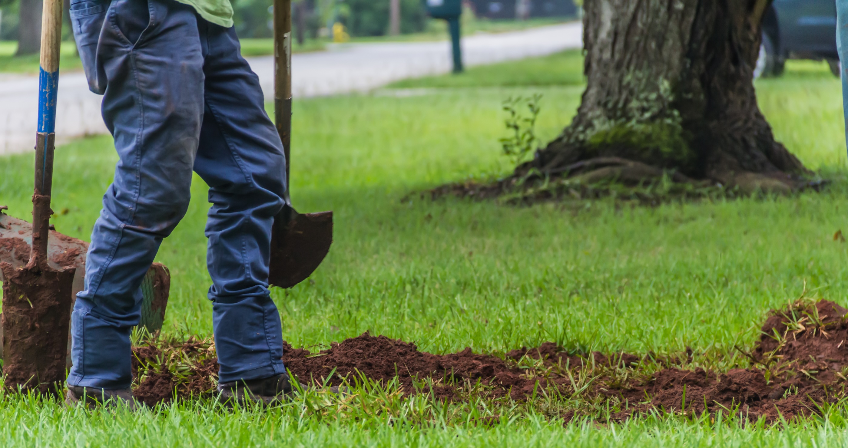 woman finds neighbor digging trench in her backyard
