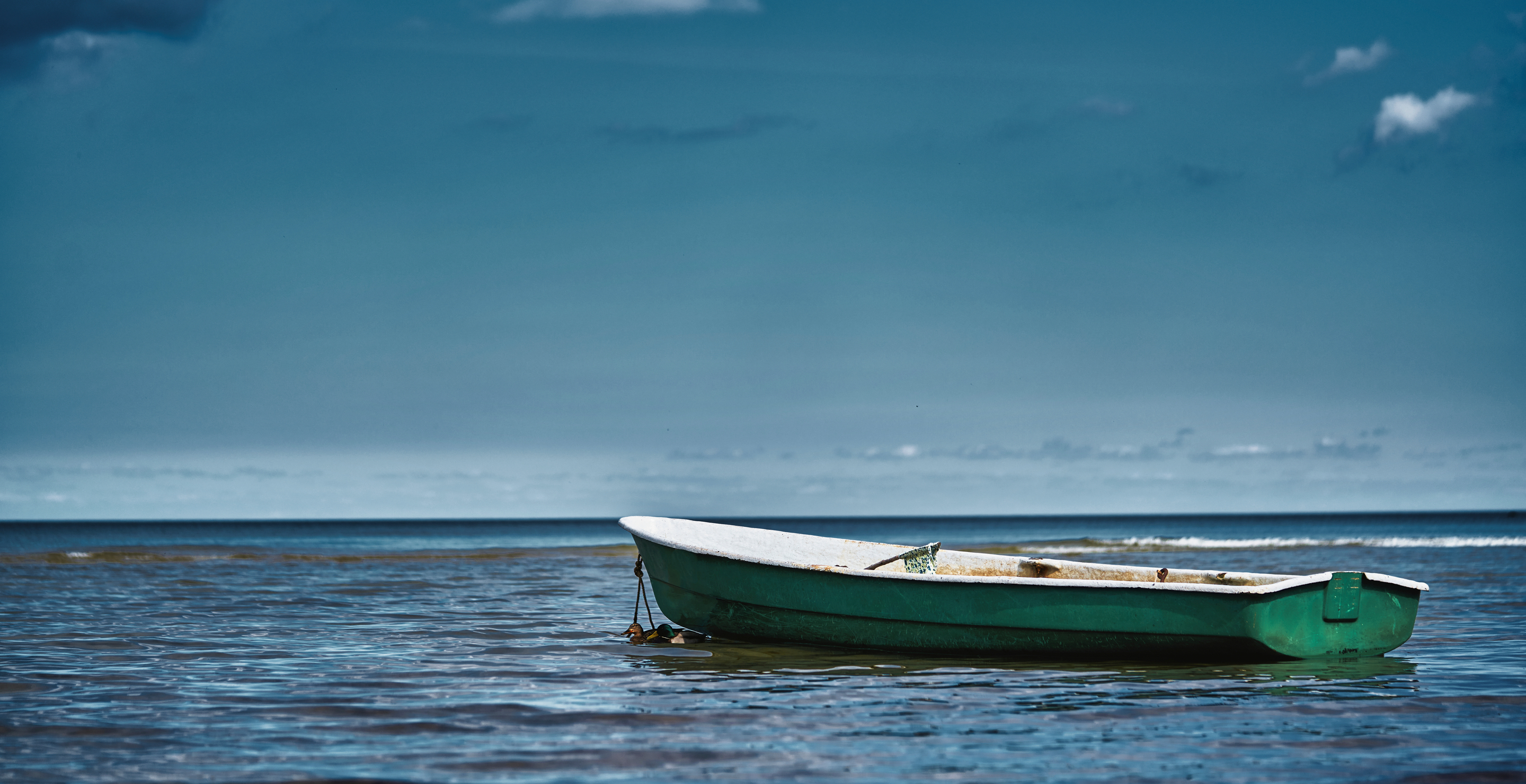 19 People Found Dead On A Boat Launches Police Investigation