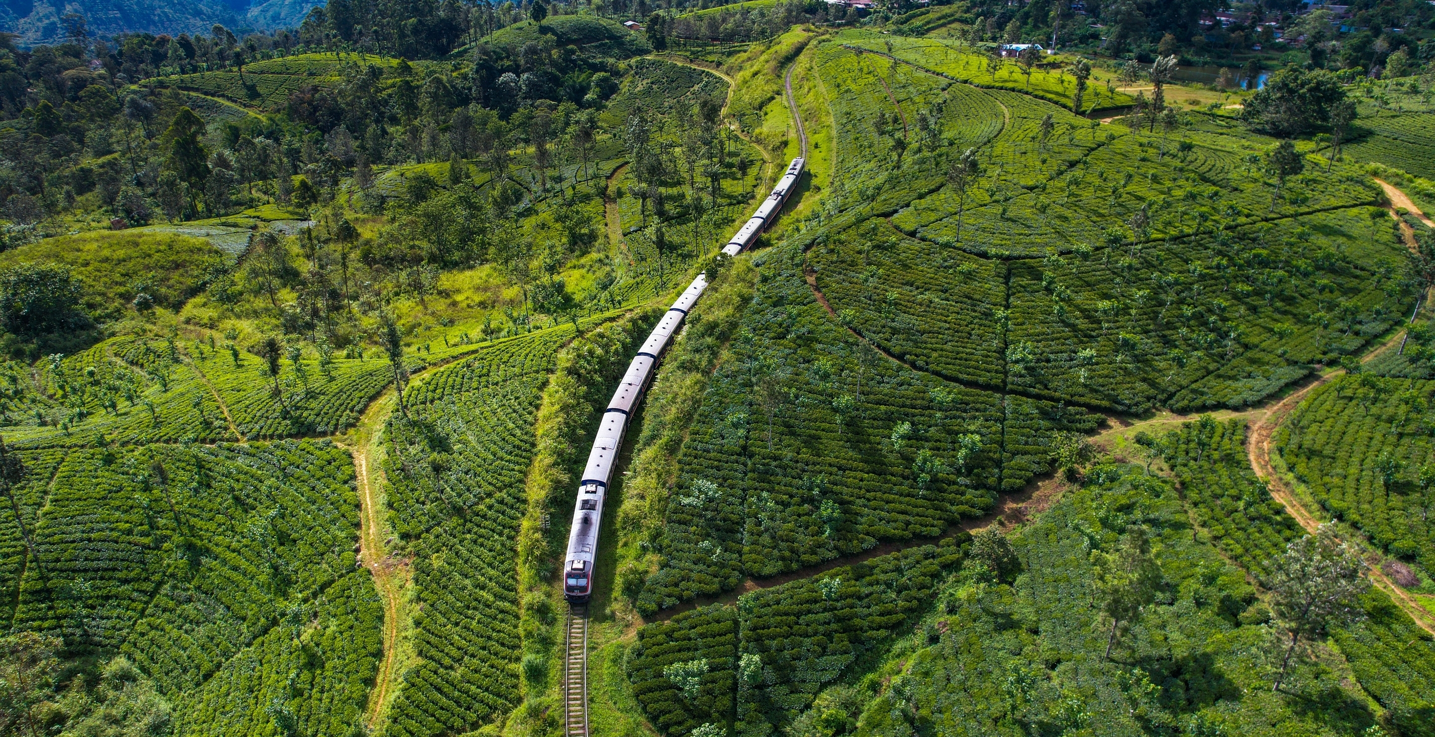 53-Year-Old Tourist Dies After Hanging Out Of Train To Take A Selfie