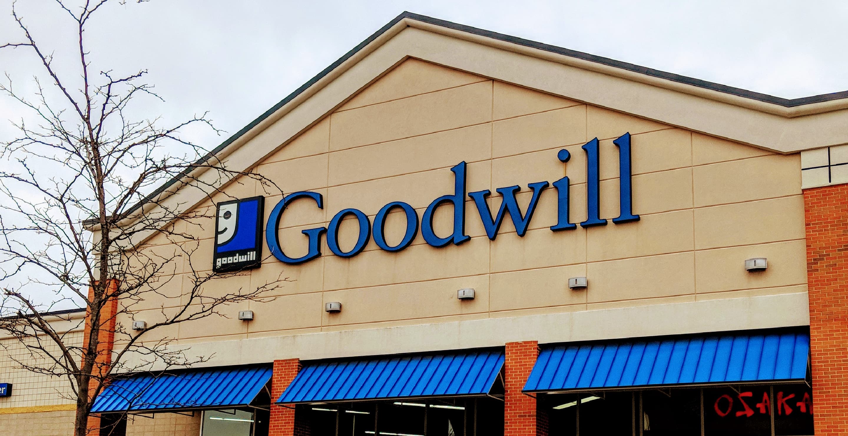 Goodwill