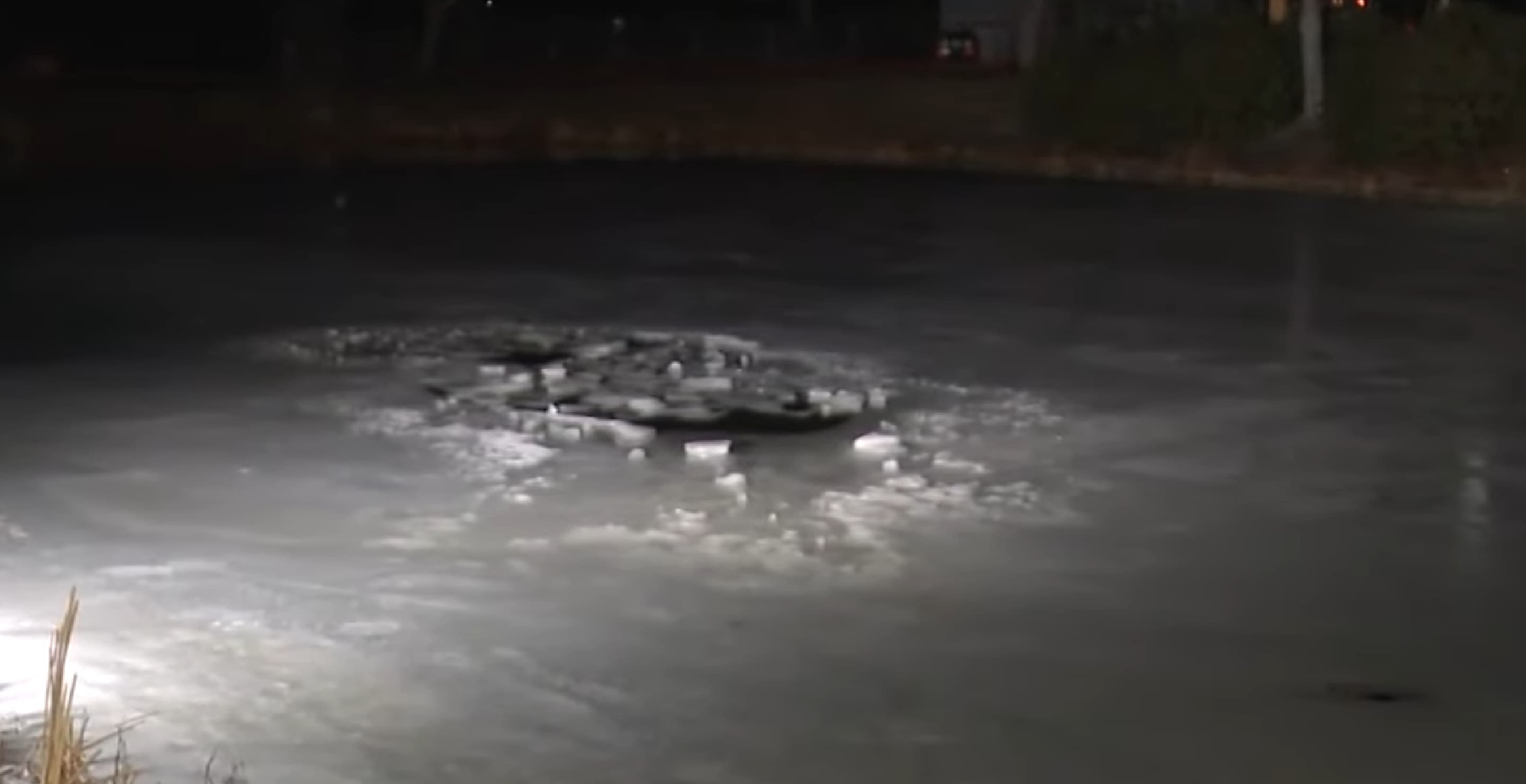 Ice Pond