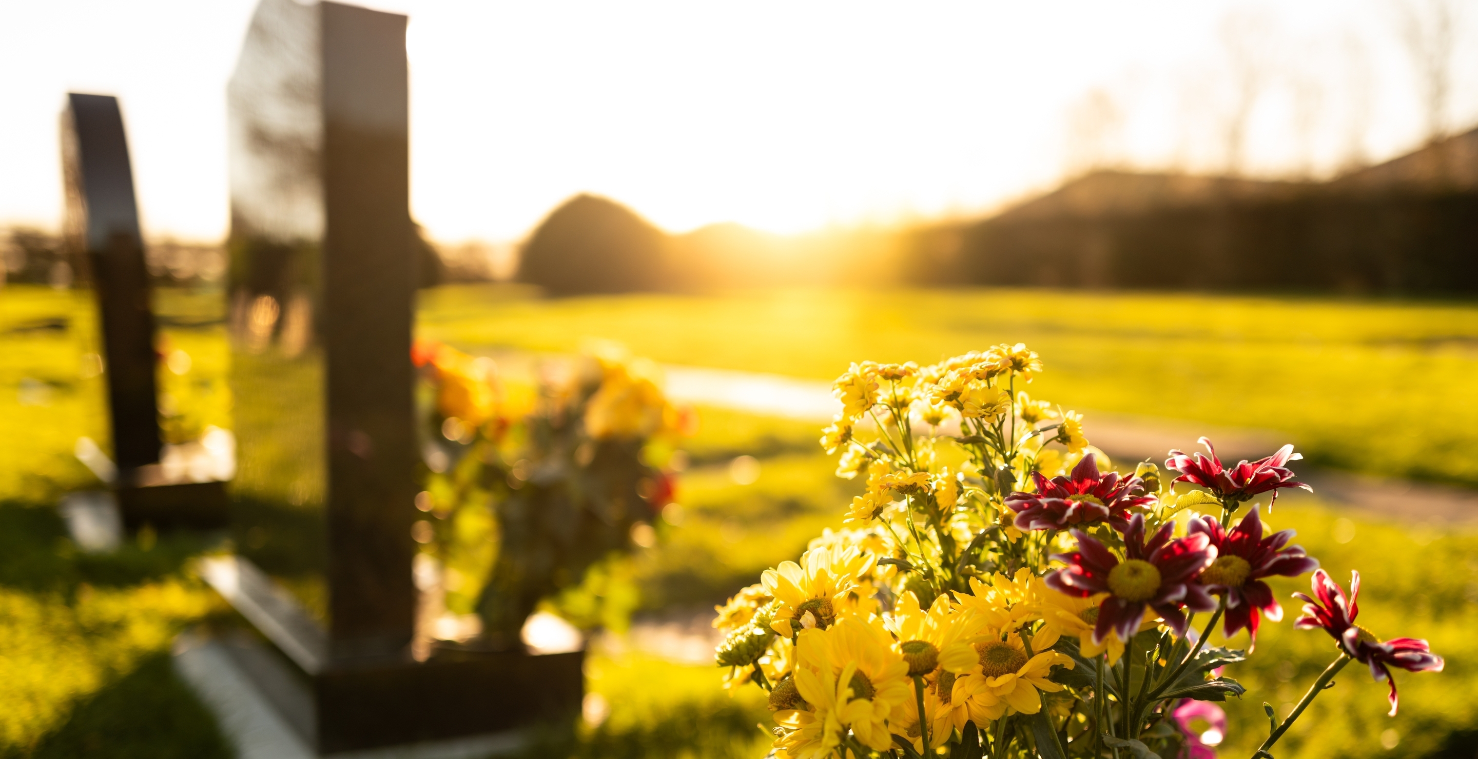 Man Believed To Have Died In 2022 Was Actually Hiding From Dangerous Vegan Cult
