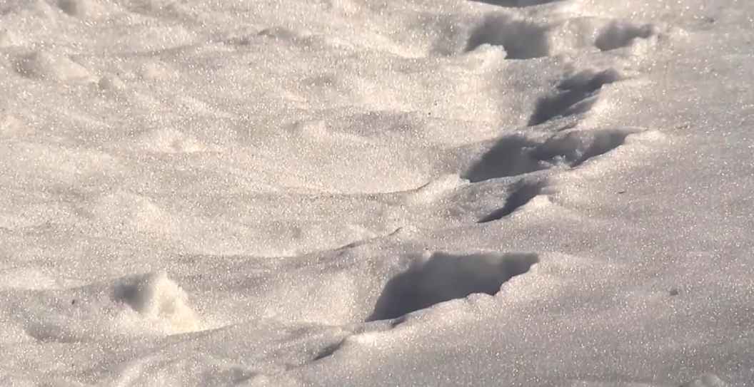 Snow Dechant House