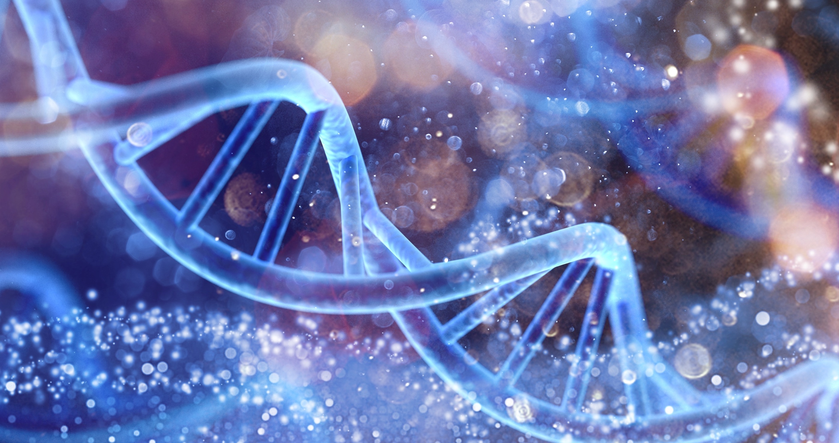 DNA strand