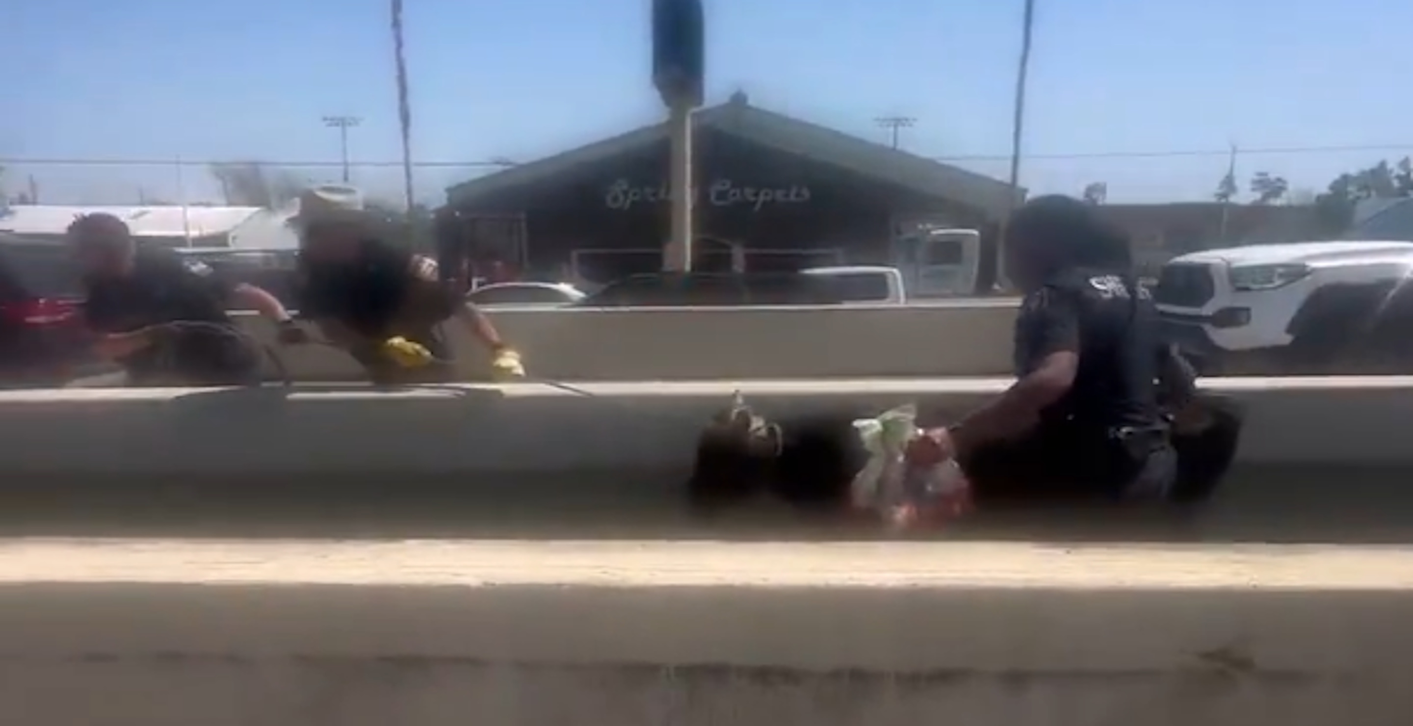 Texas Highway Descends Into Chaos After Cows And Bulls Escape Tractor Trailer