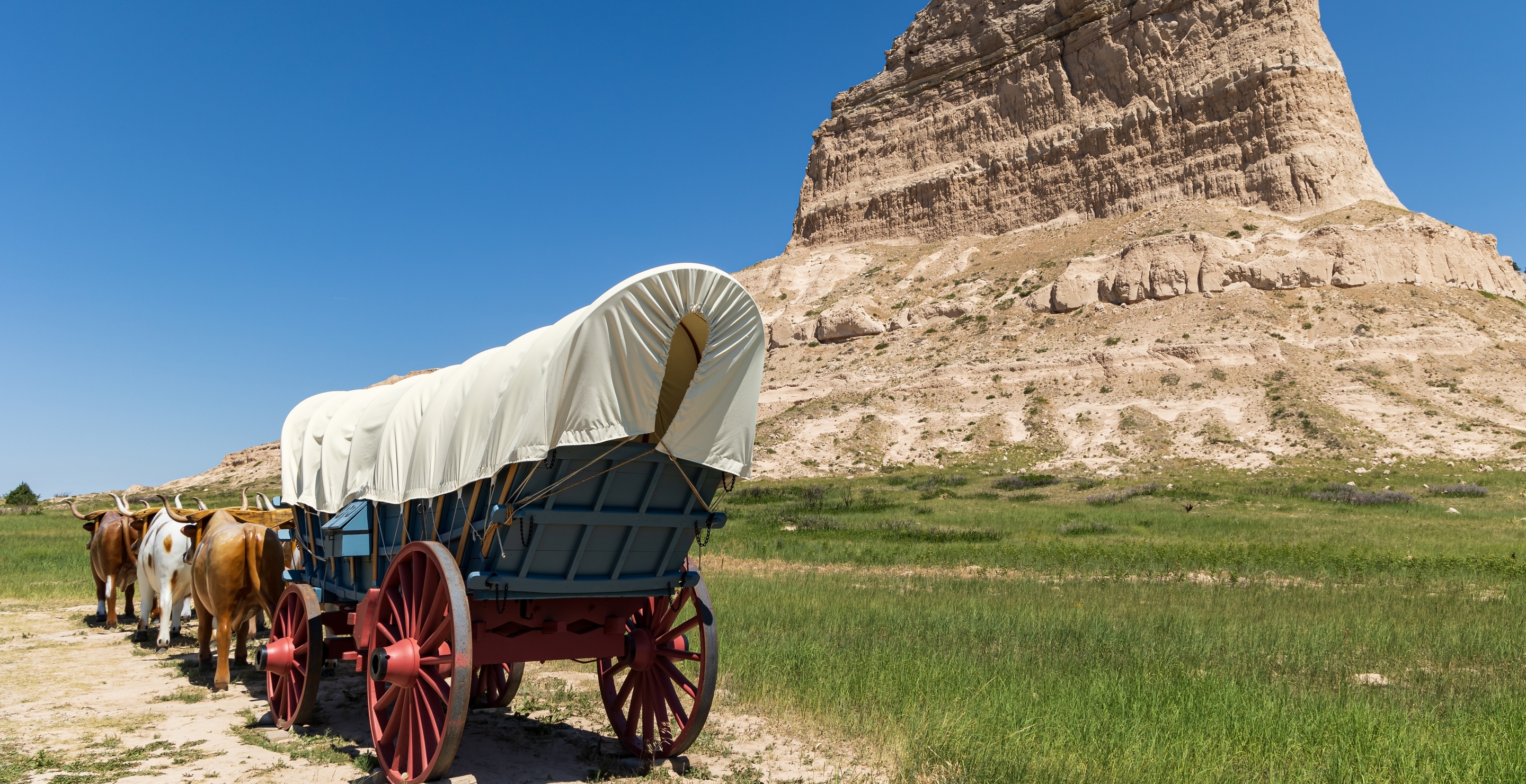 Dysentery On The Rise In Oregon And People Can't Stop Thinking About That 'Oregon Trail' Game