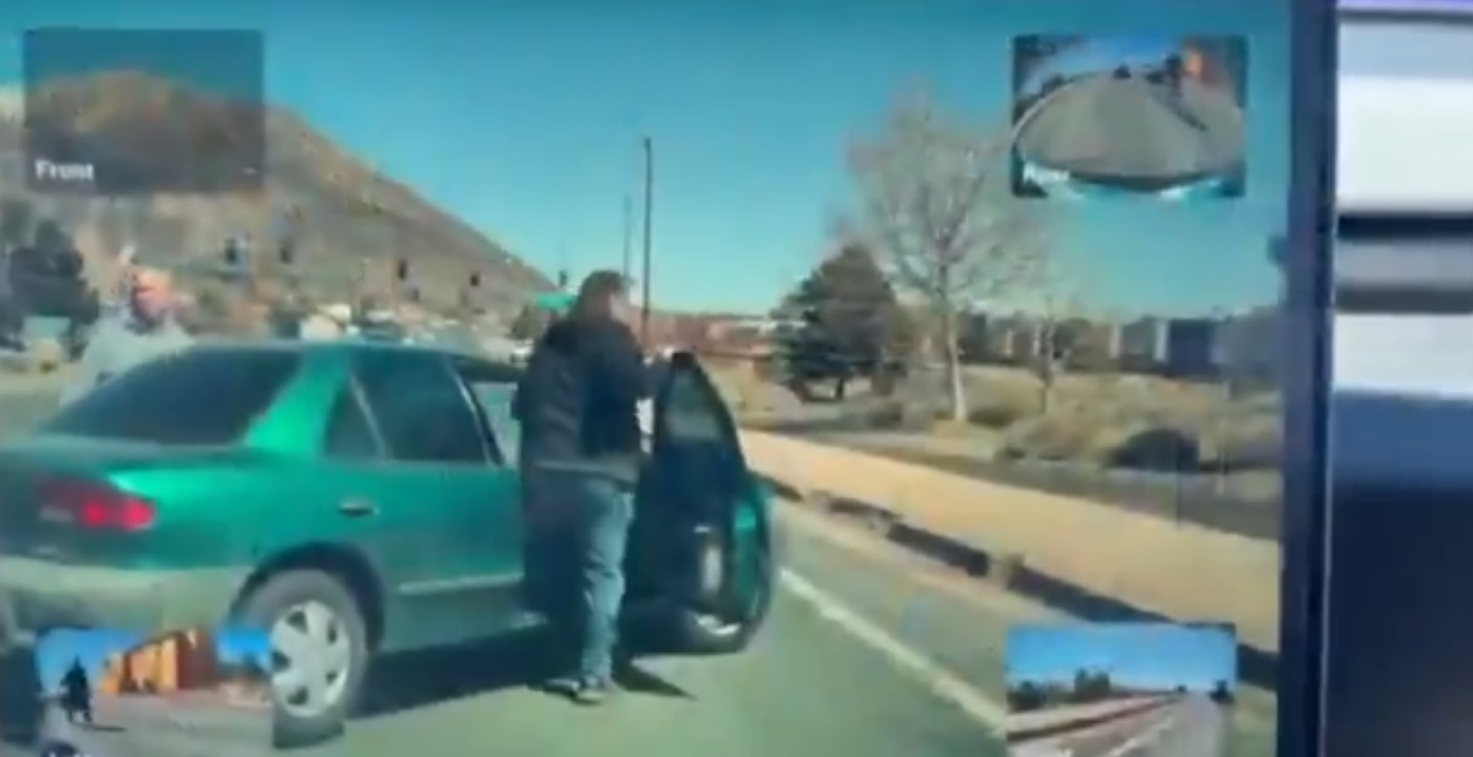 Green Car Driver Tesla Incident