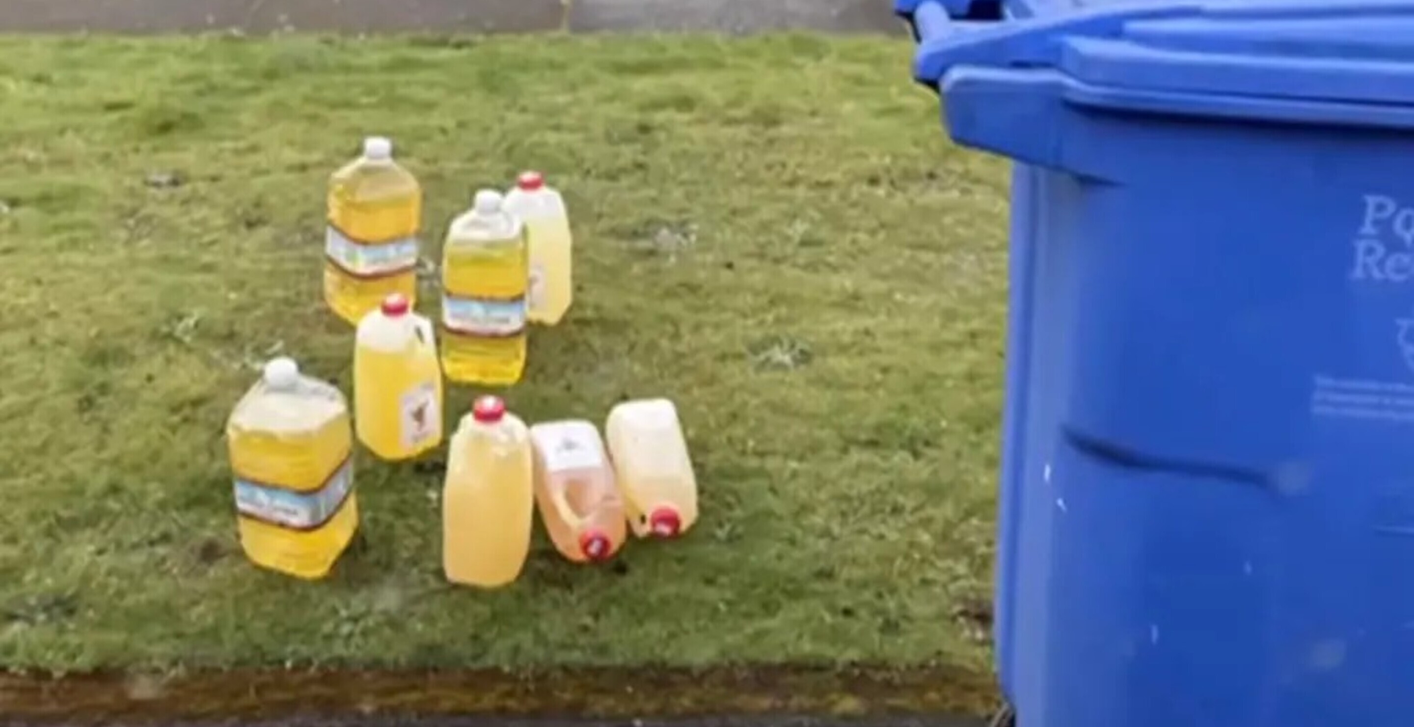Mystery Man Keeps Leaving Jugs Of Urine In Recycling Bins And I Need To Know More pee