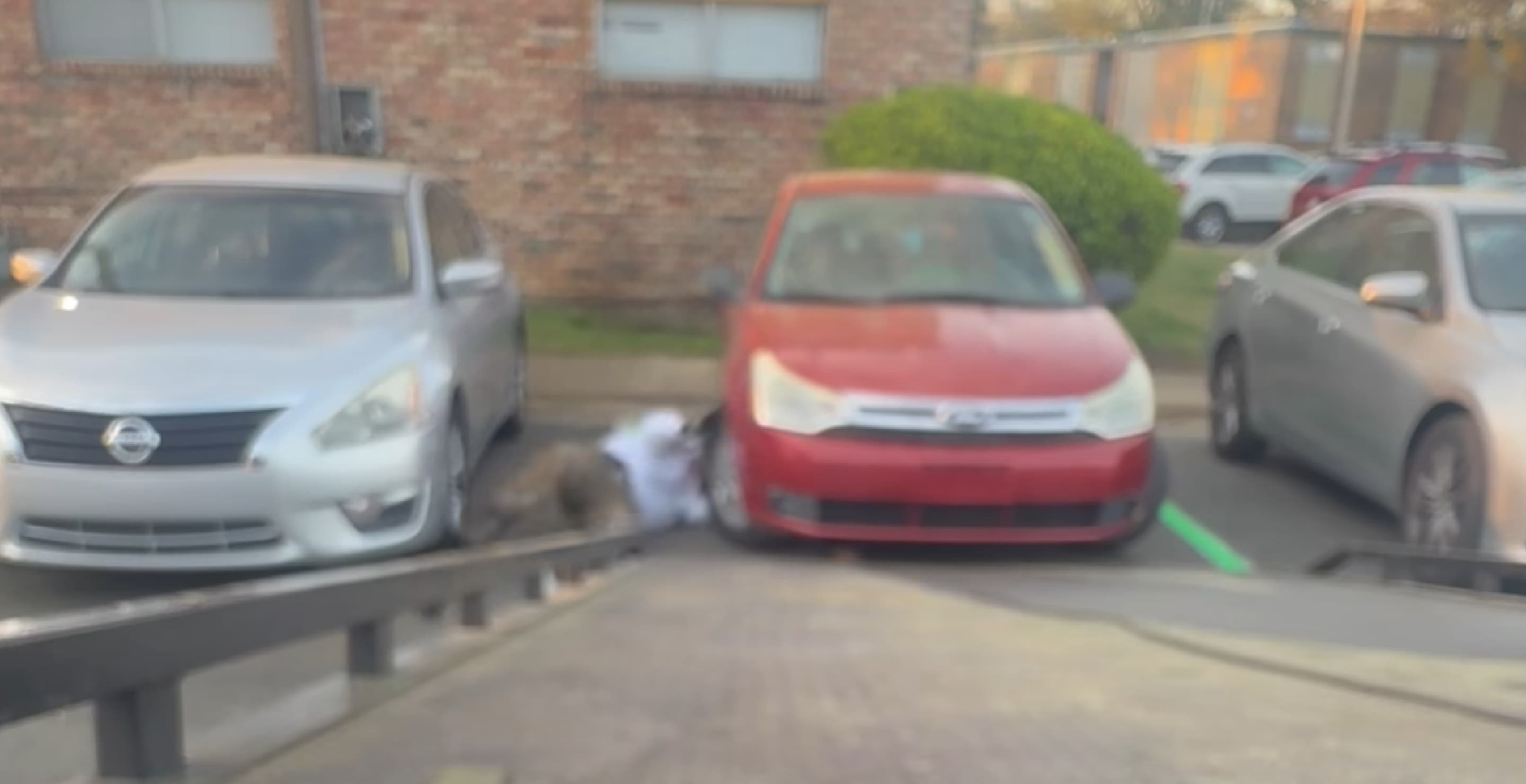 Nicholas Wray and Phil Repo Man