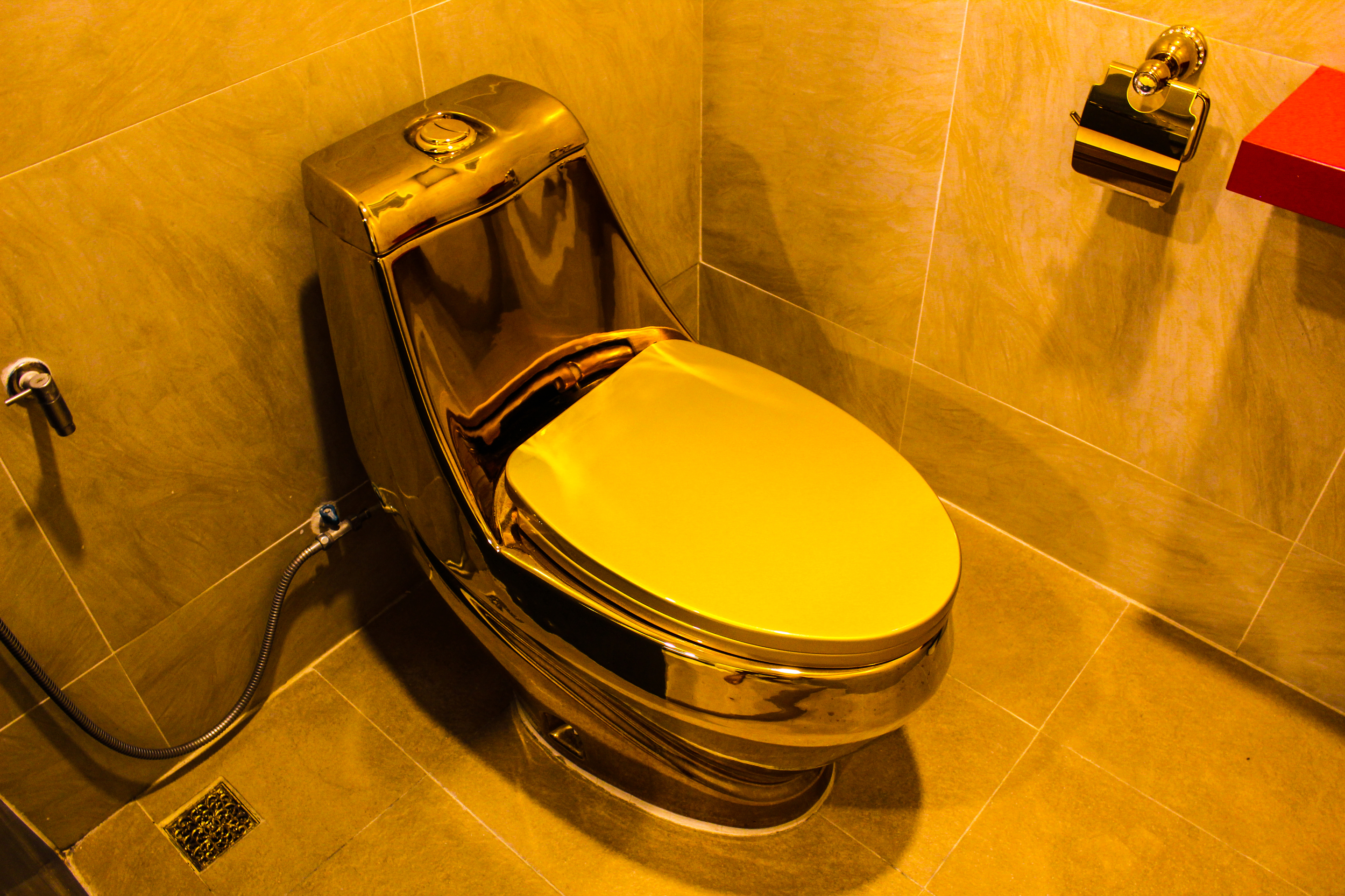 Two Men Stole A $6 Million Golden Toilet From A Palace